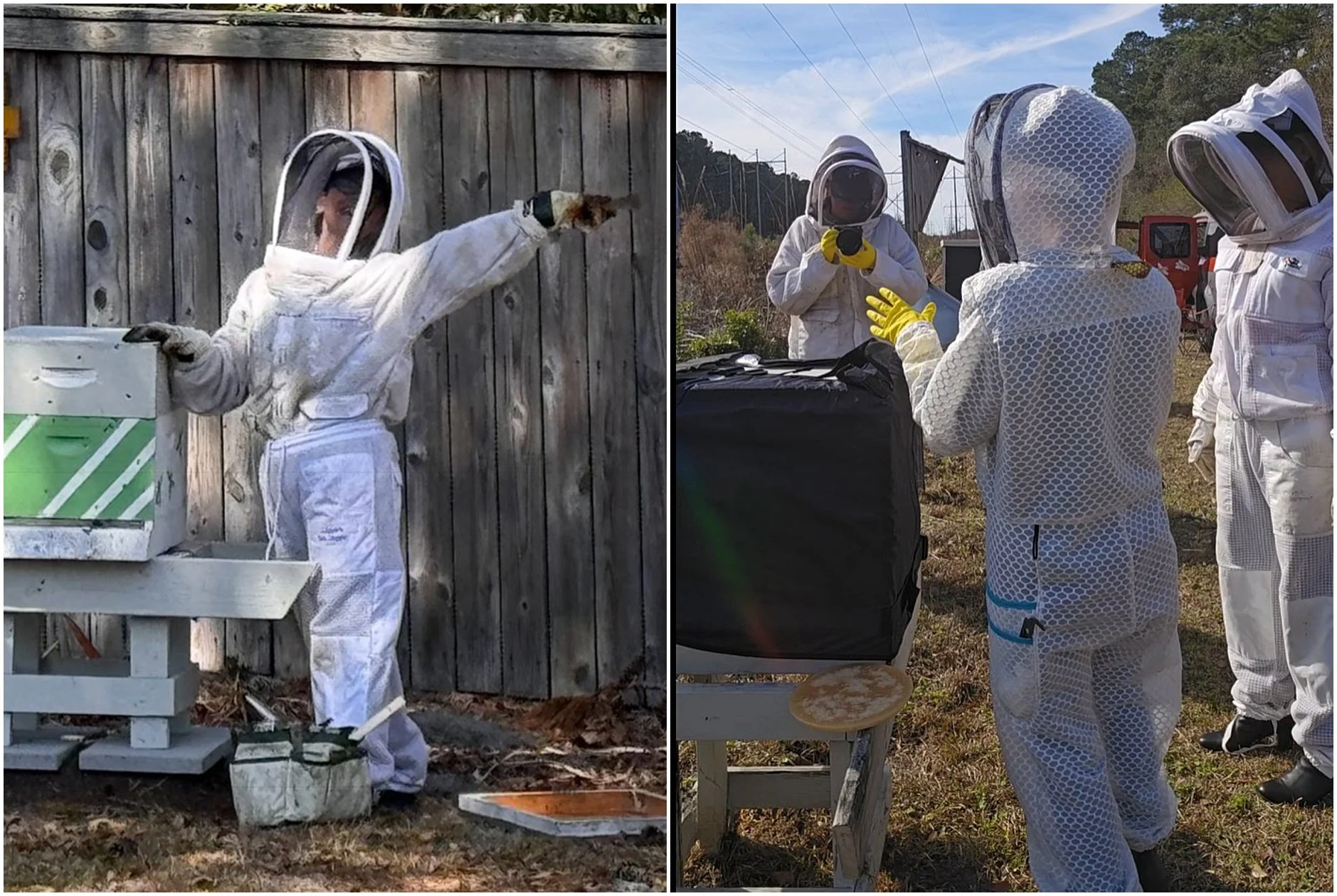 Lauren Donaldson of Just Me and The Bees in the field wearing her Jeometry Beewear™ beekeeping suit.