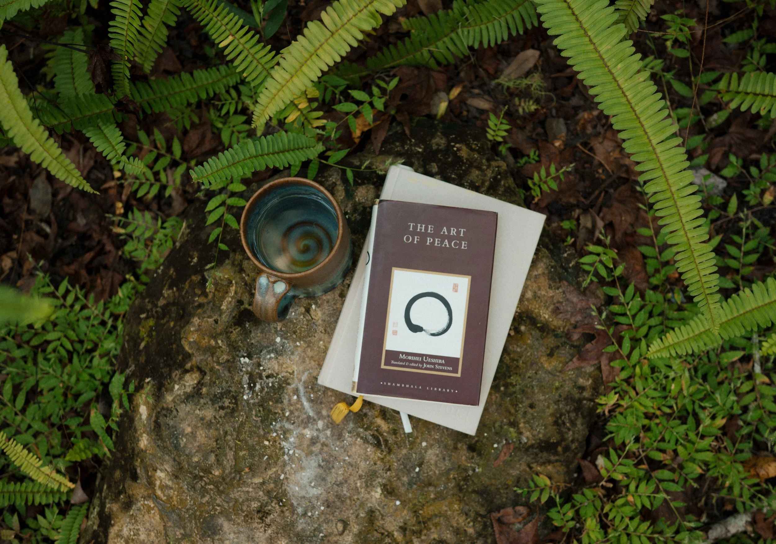 A book titled 'The Art of Peace' by Morihei Ueshiba, a ceramic mug with a spiral design inside, and a white notebook on a mossy rock in a forest, surrounded by green fern leaves.