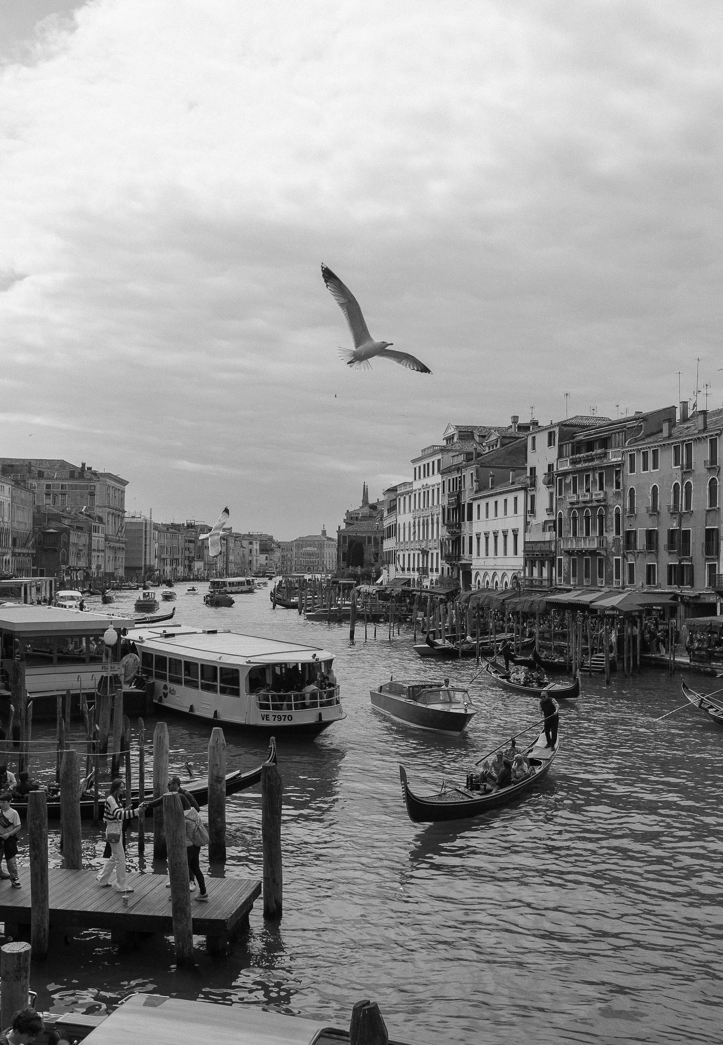 venice-41.jpg