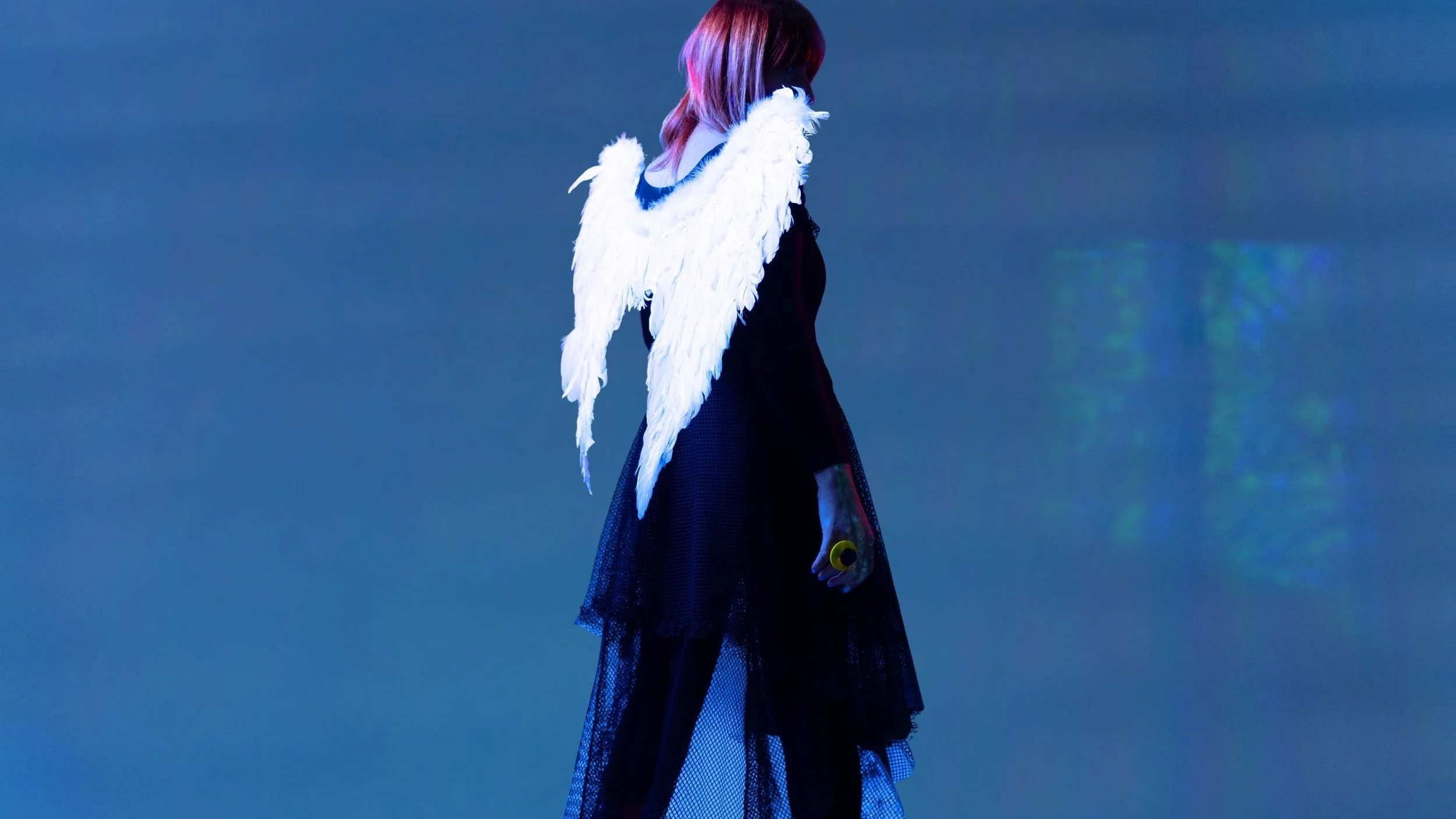 WUNDER BETA looking side ways wearing wings