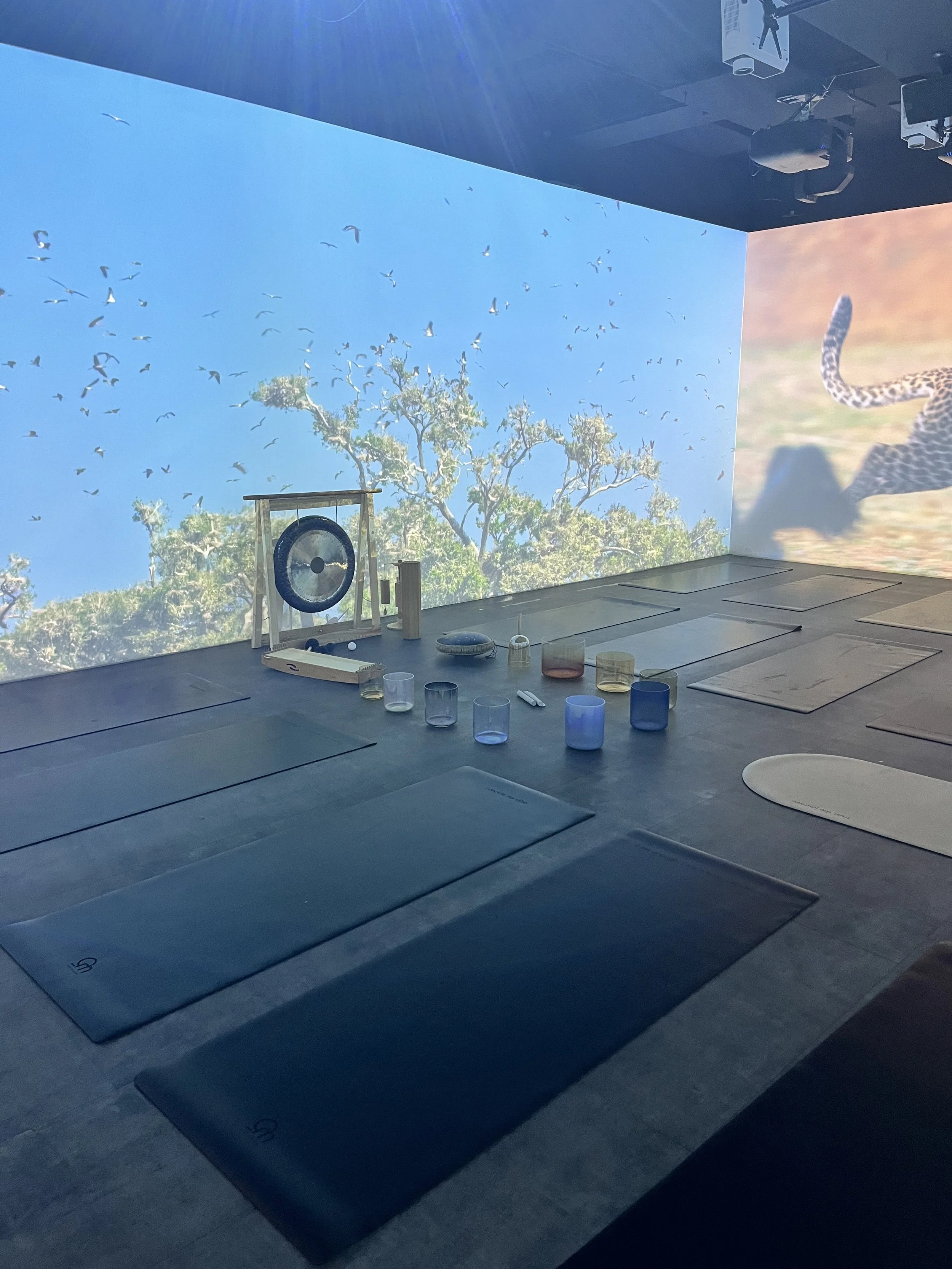 MOVING SOUNDBATH @ IMMERSIUM