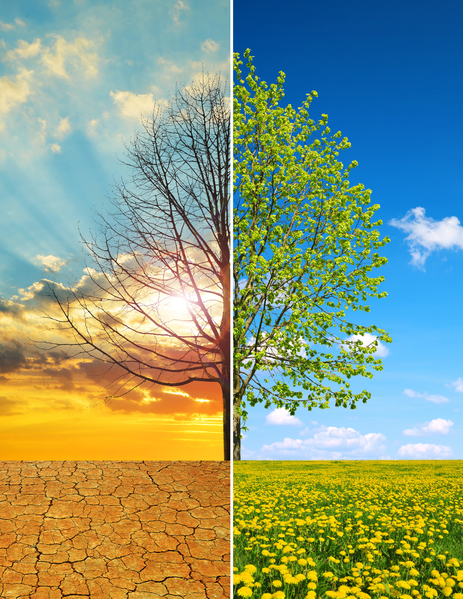 Seasons of Change: 