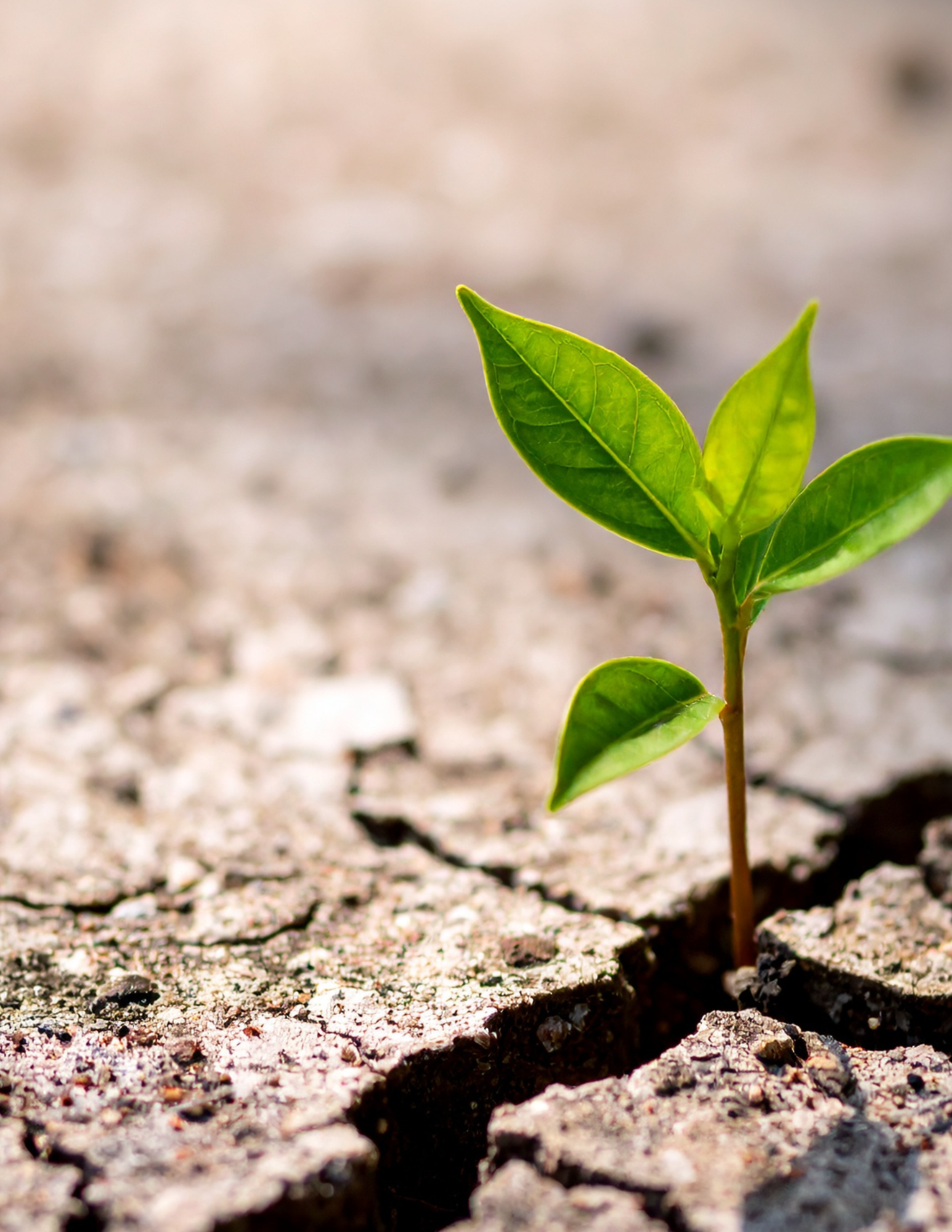 Mindful Living Thursdays