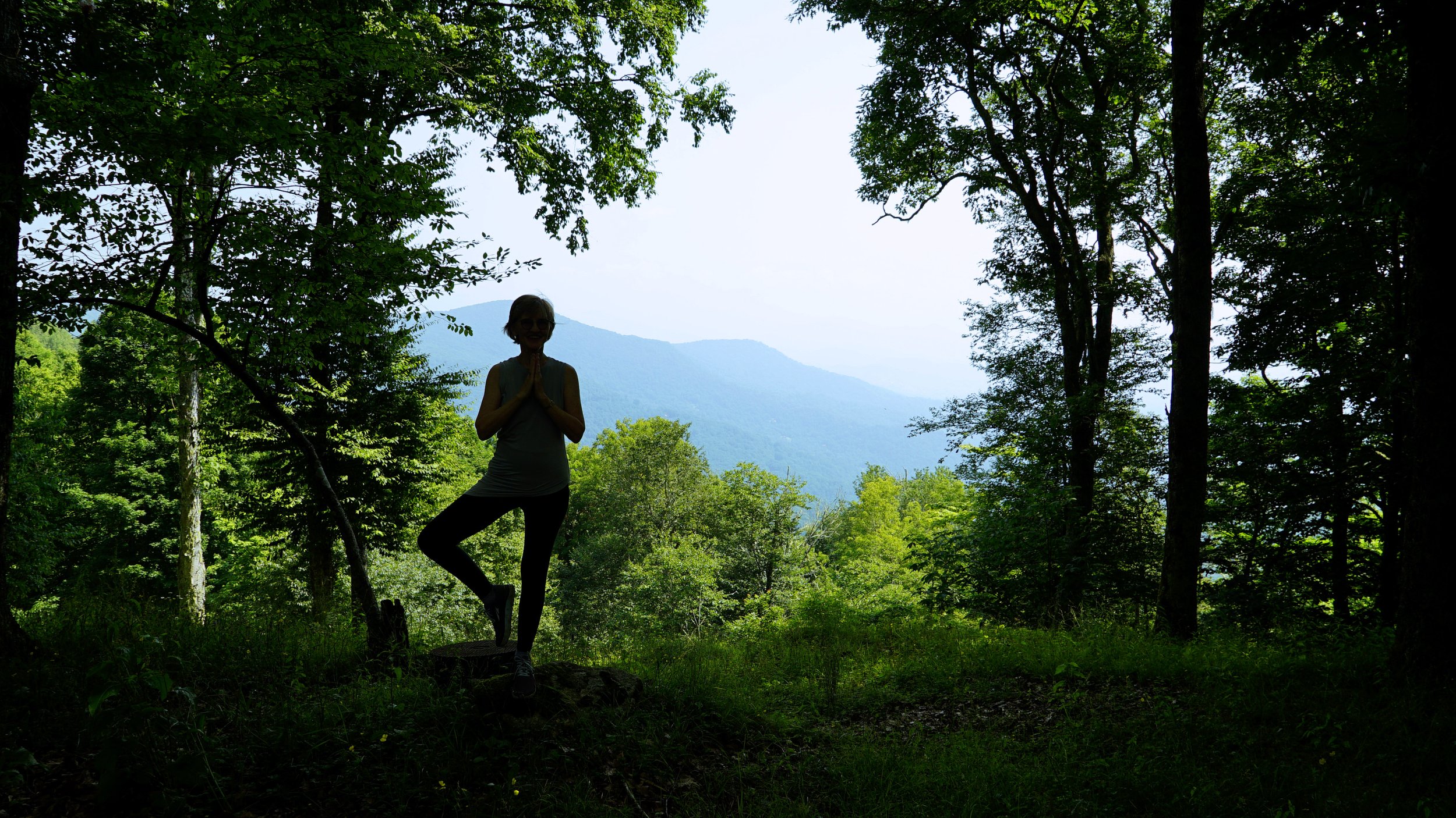 Healing Yoga July 29 - Sept 2 