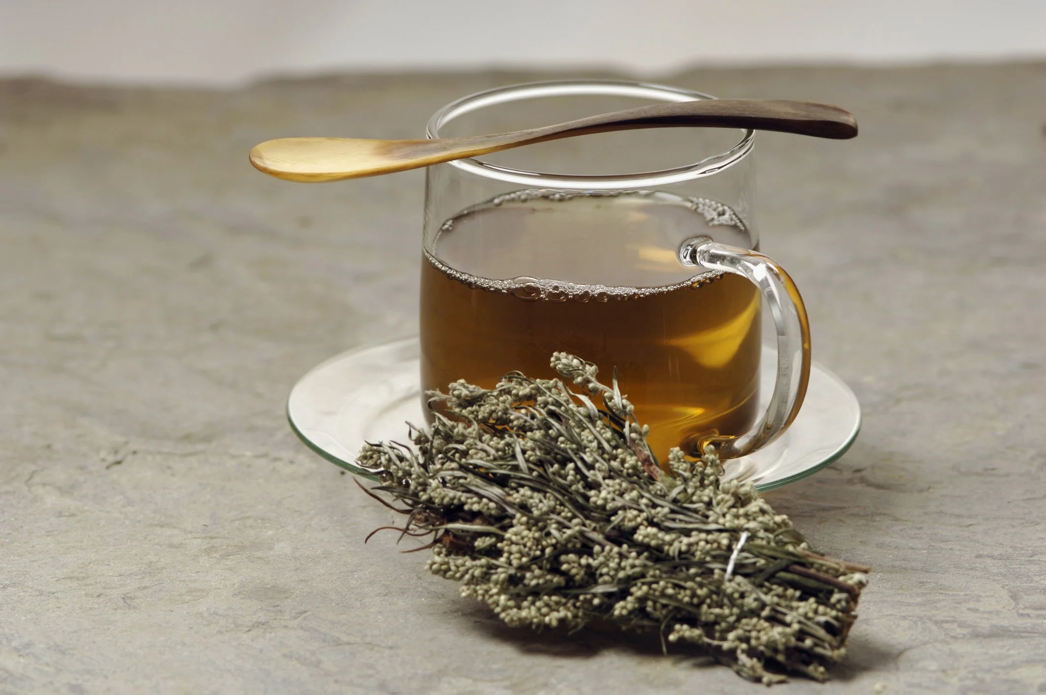 Mugwort tea with dried herbs next to tea cup
