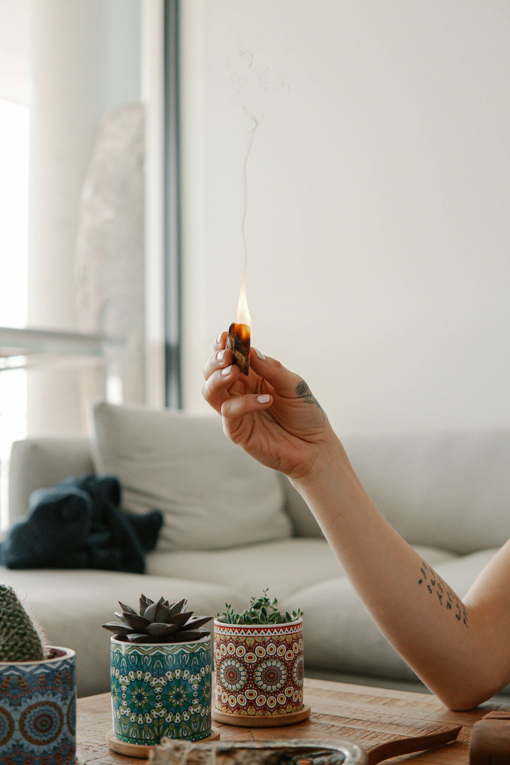 Person holding a smoking incense stick in a living room with potted plants and a sofa in the background.