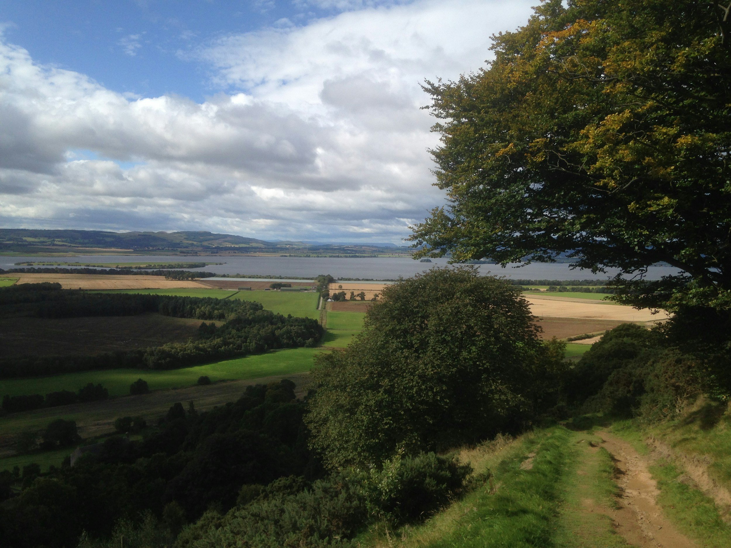 A rural landscape with a dirt path on the right, green trees on both sides, fields in shades of green, brown, and yellow, a large body of water in the distance, and a sky filled with clouds.