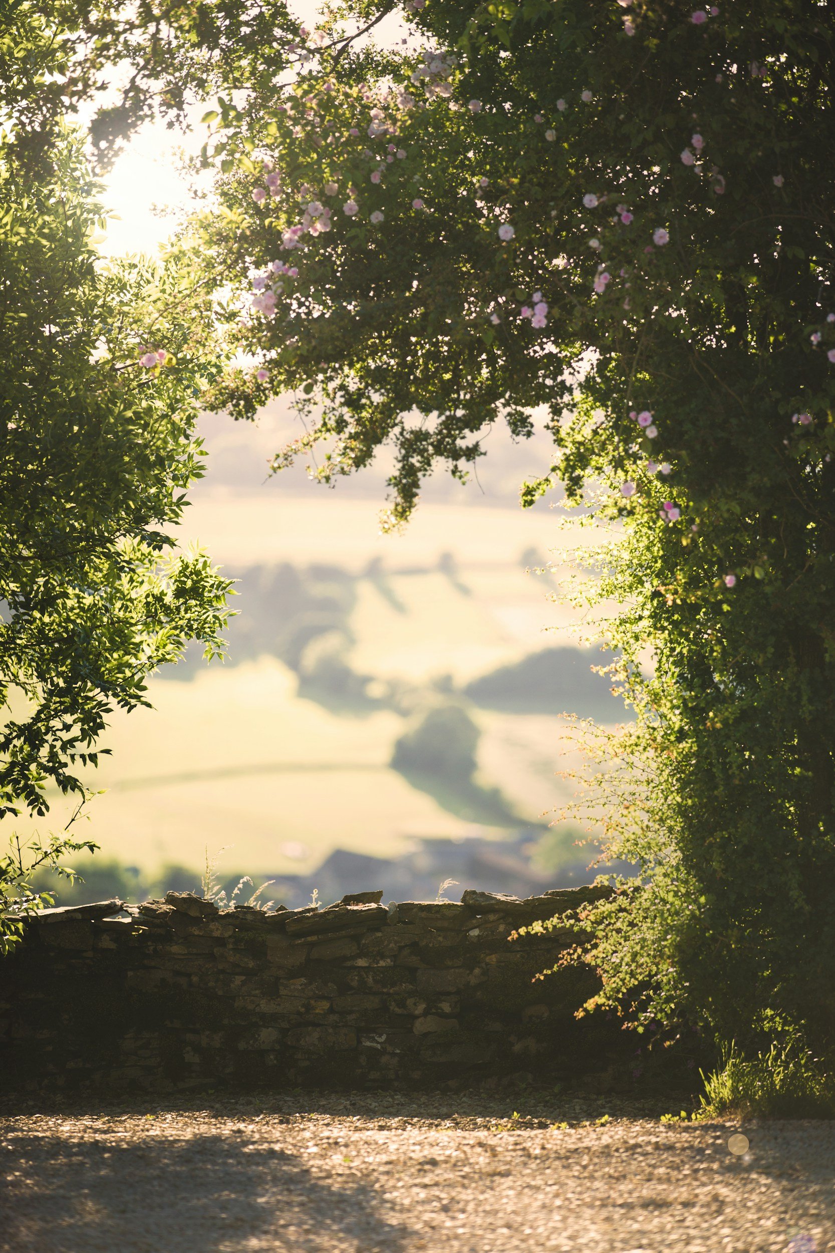 View through a natural stone archway, with greenery and pink flowers, overlooking a scenic green landscape and water body in the distance.