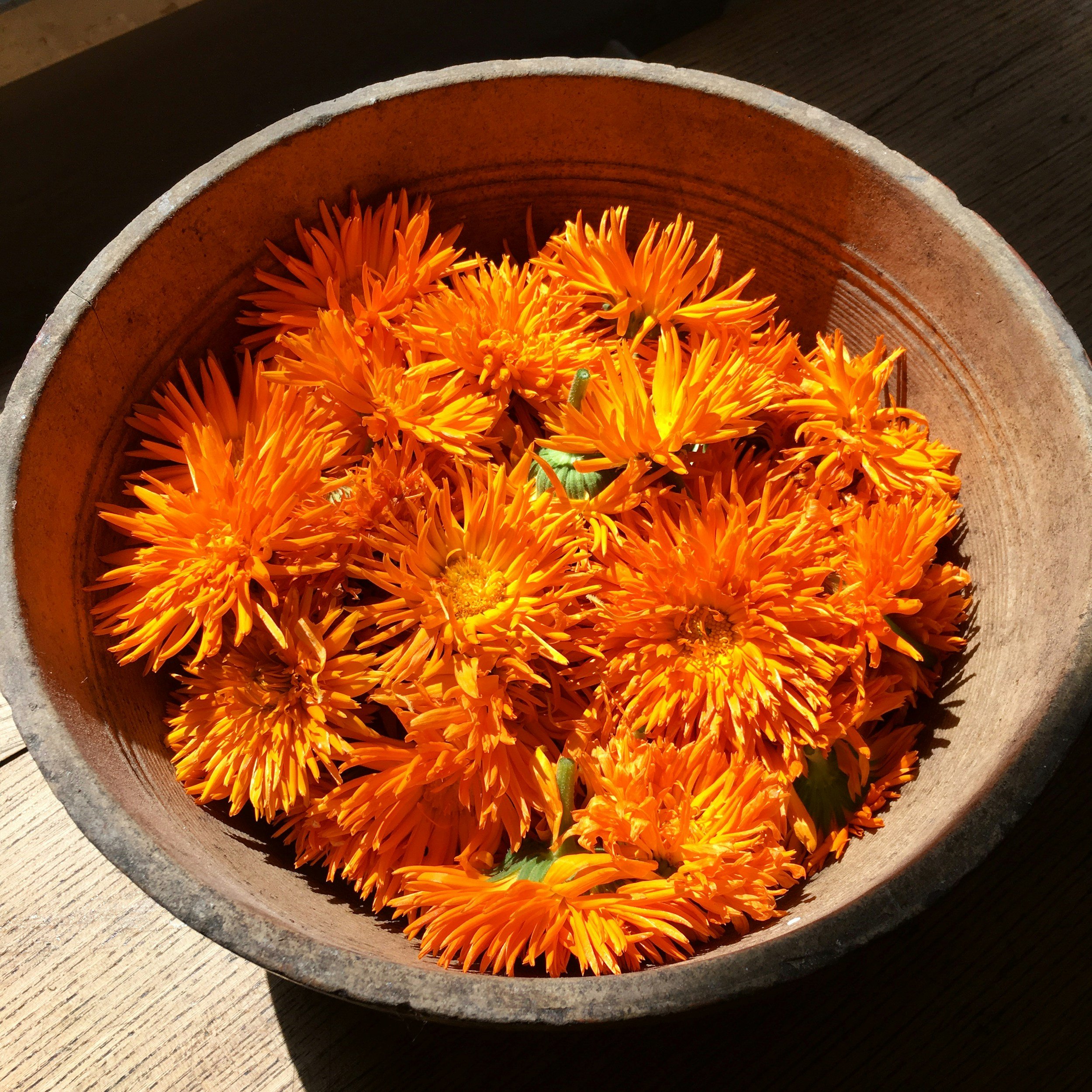 Orange flowers in a round, textured clay bowl on a wooden surface.