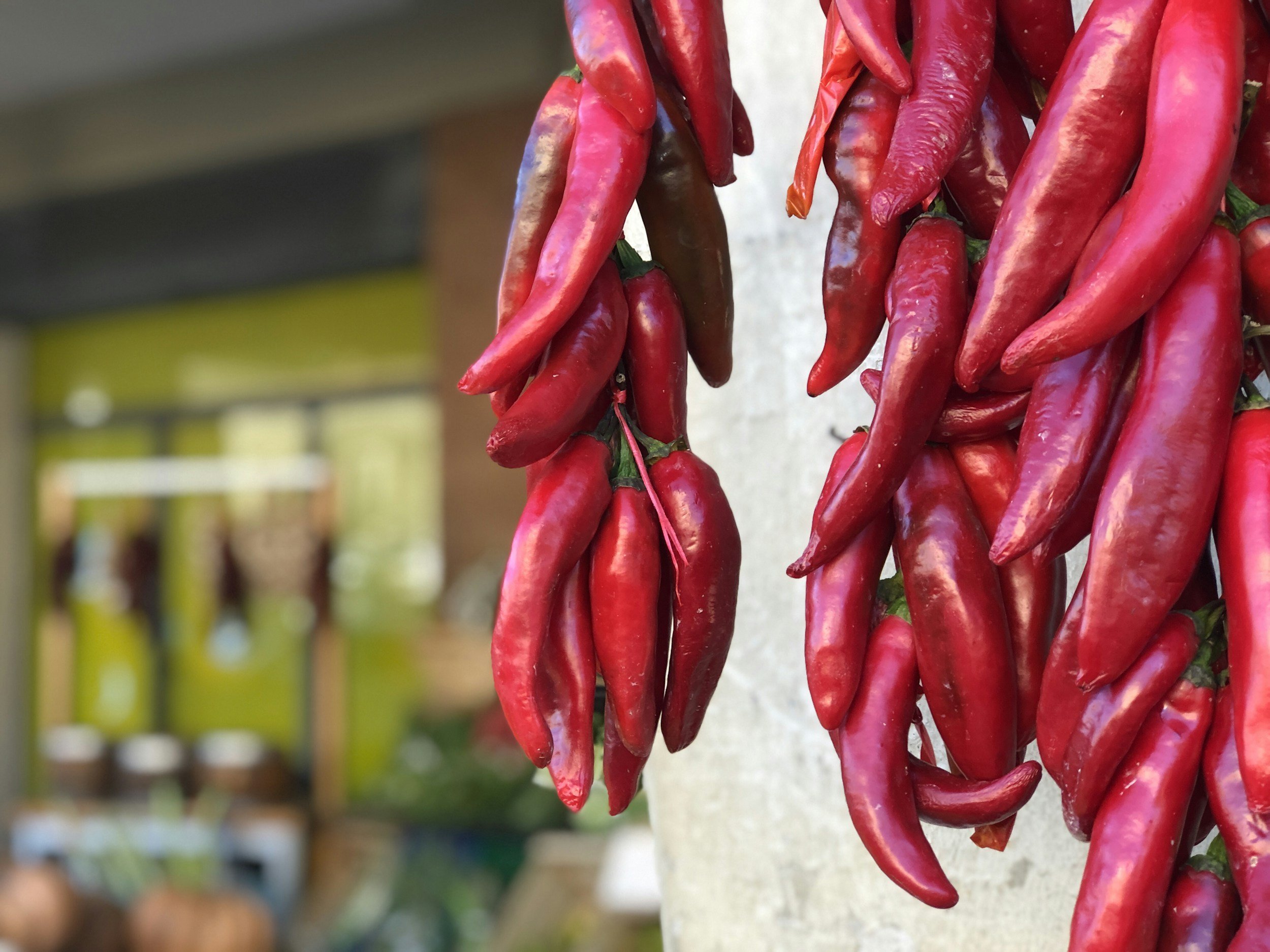 Clusters of red chili peppers hanging outdoors.