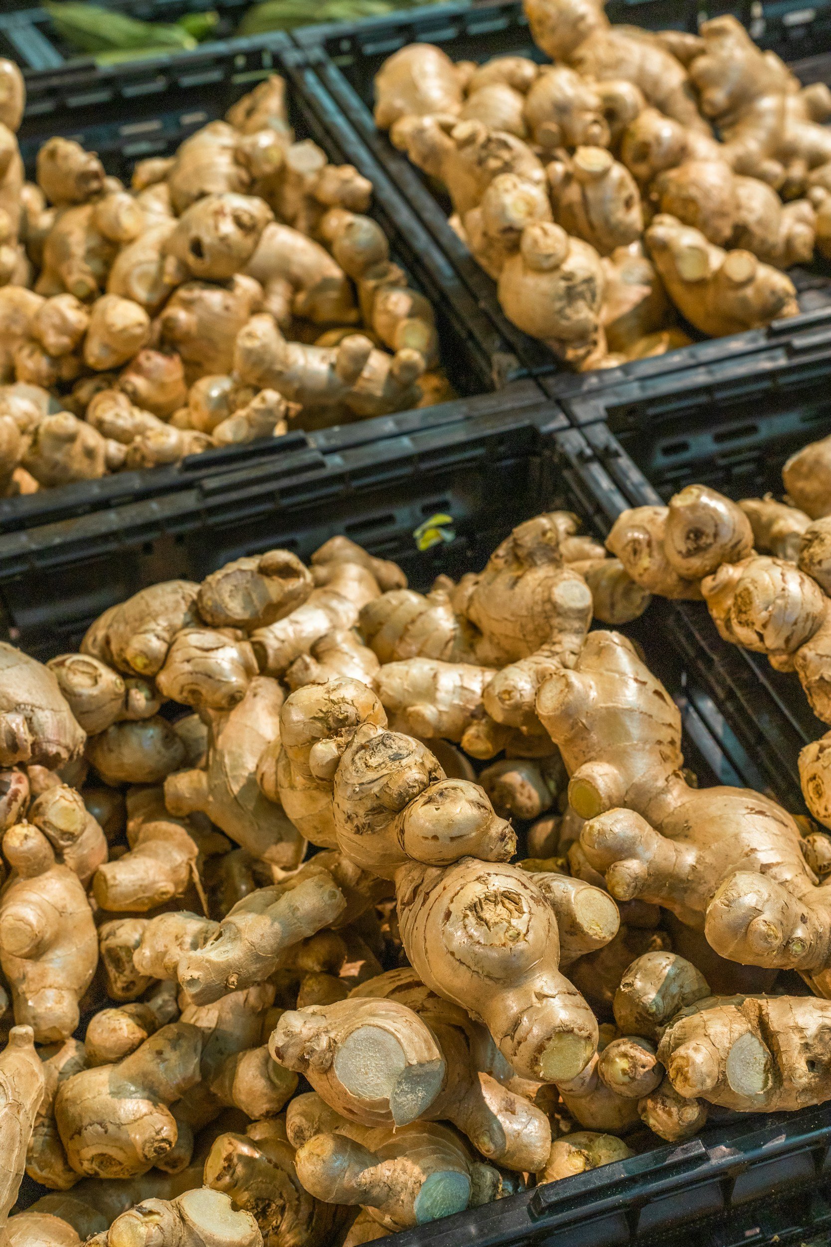 Ginger root in shop shelve in basket