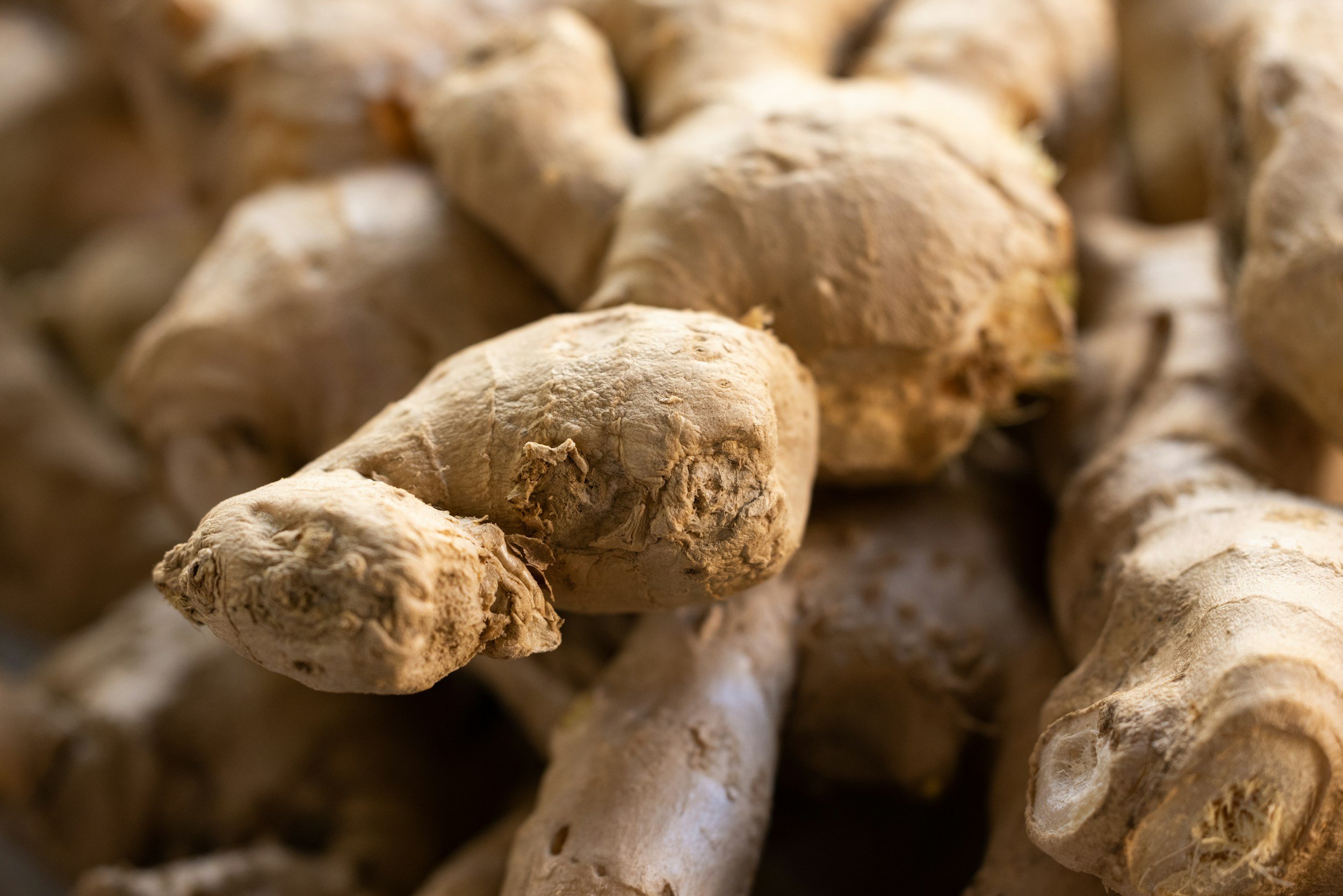 close up of a ginger root