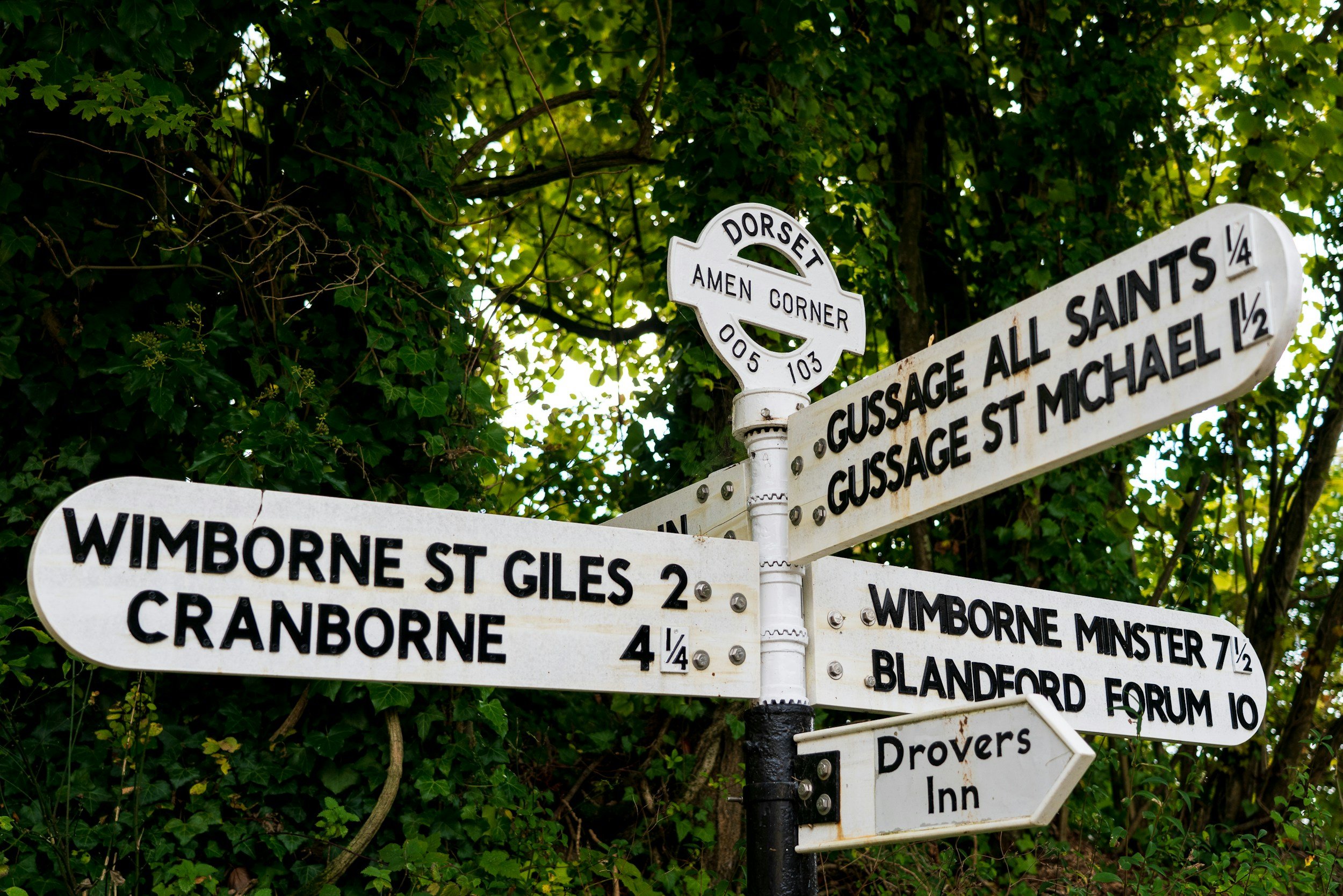 A vintage black and white directional street signpost with multiple signs pointing to various locations, set against leafy green trees. The signs list destinations such as Wimborne St Giles, Cranborne, Wimborne Minster, Blandford Forum, and Drovers I