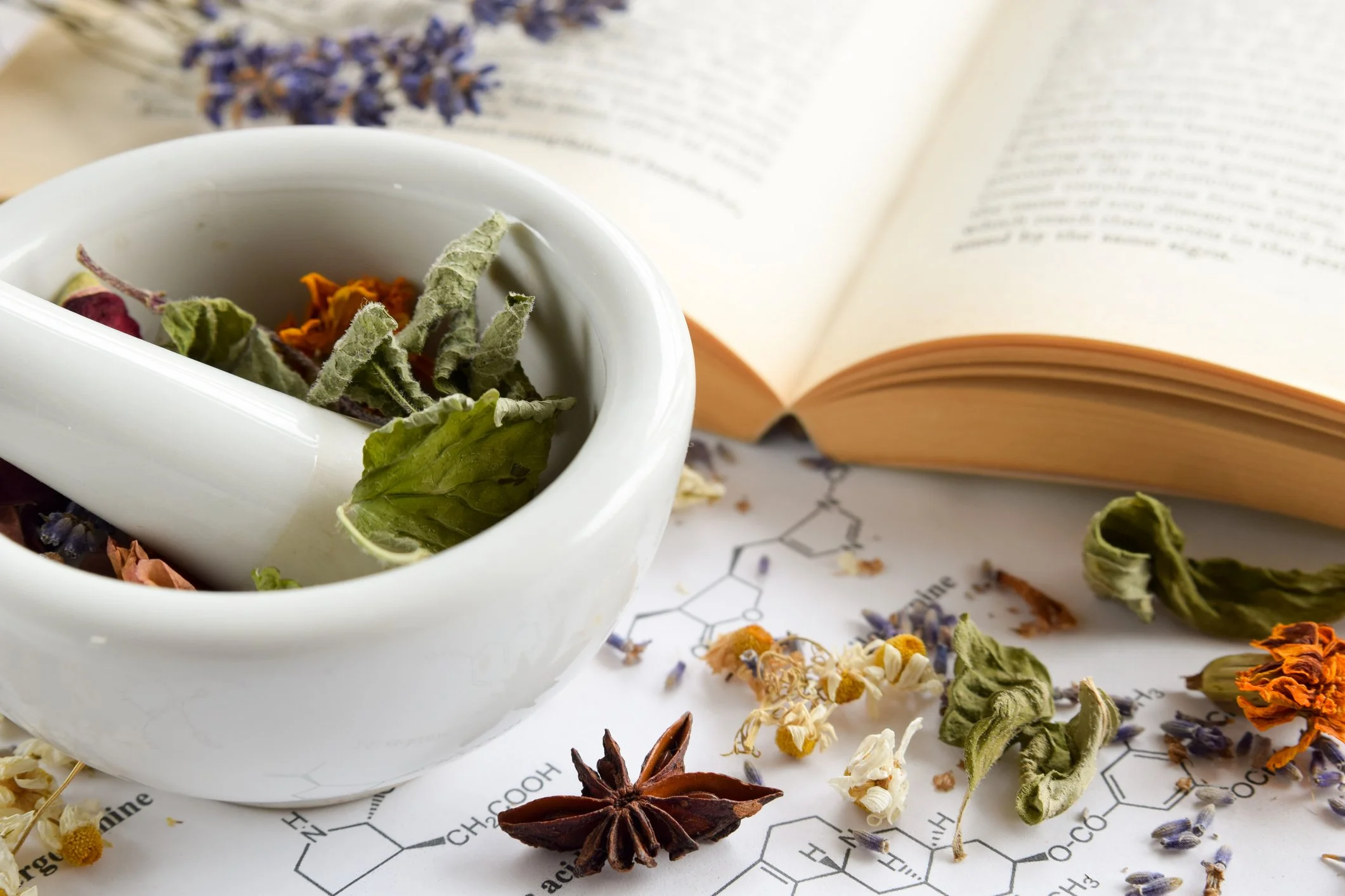 A white stone pestle and mortar containing dried herbs and flowers on a scientific chart, with an open book and additional herbs and flowers surrounding it.