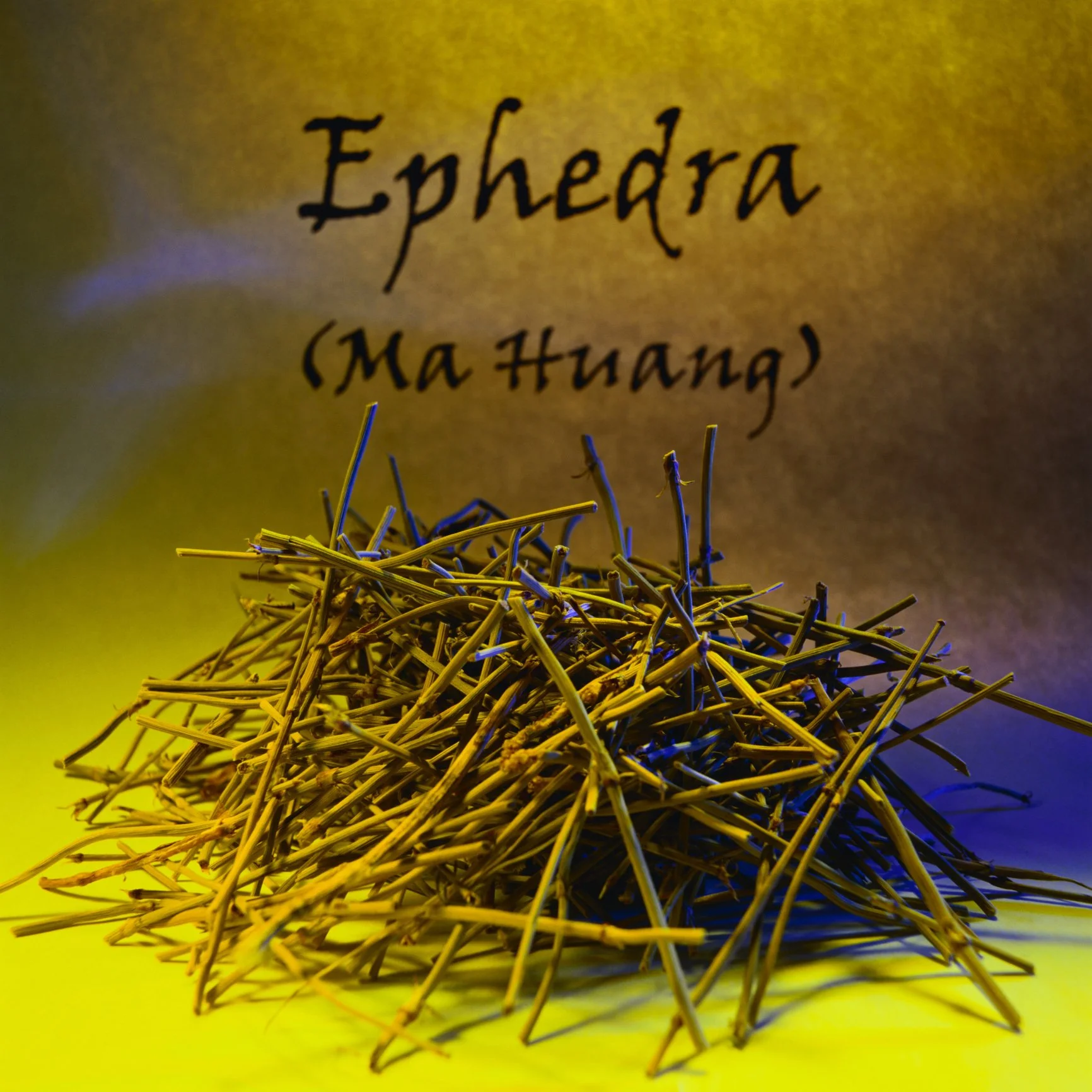 A pile of dried Ephedra (Ma Huang) stems with a blurred background that has the text "Ephedra (Ma Huang)."
