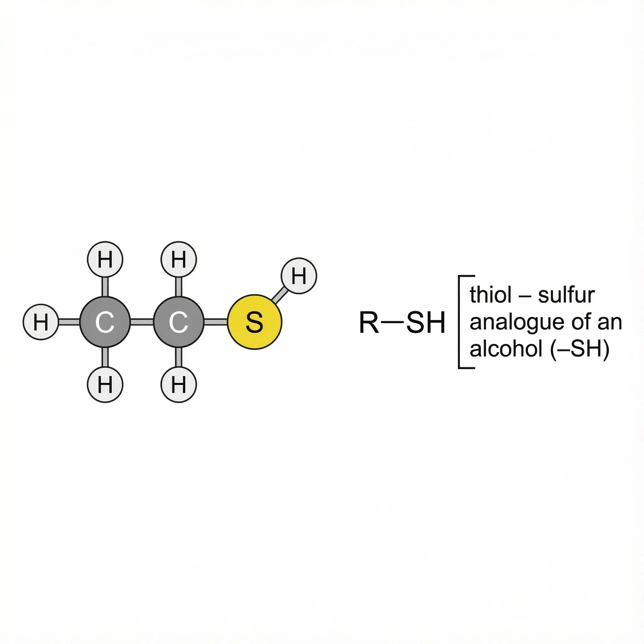 chemical structure of Thiol