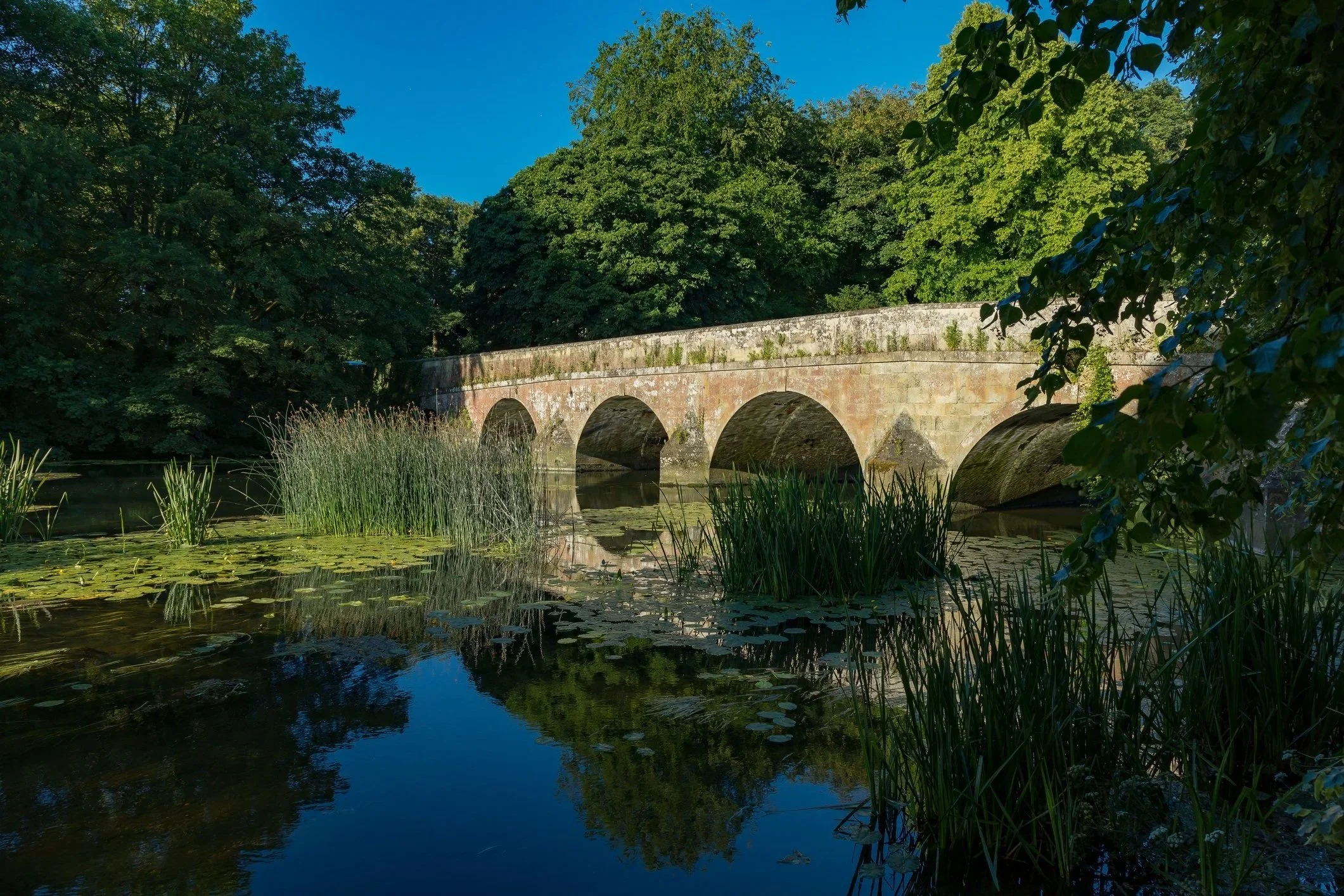 A stone bridge with multiple arches over a pond surrounded by green trees and plants on a sunny day.