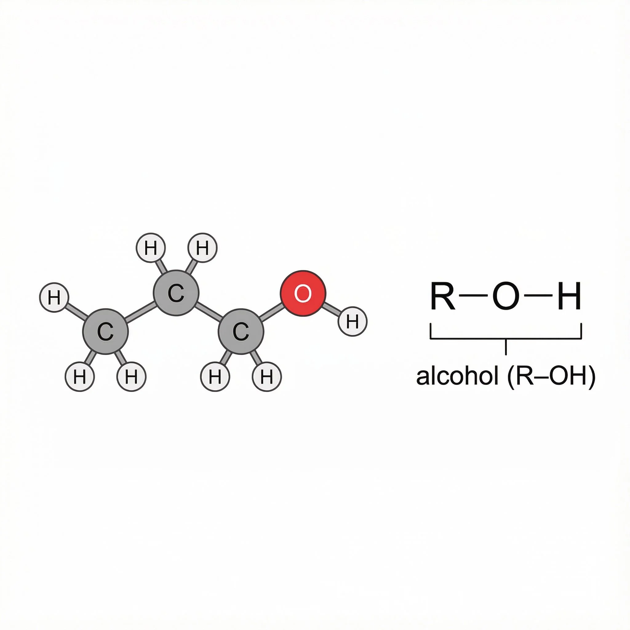 Chemical structure of Alcohol molecule -OH