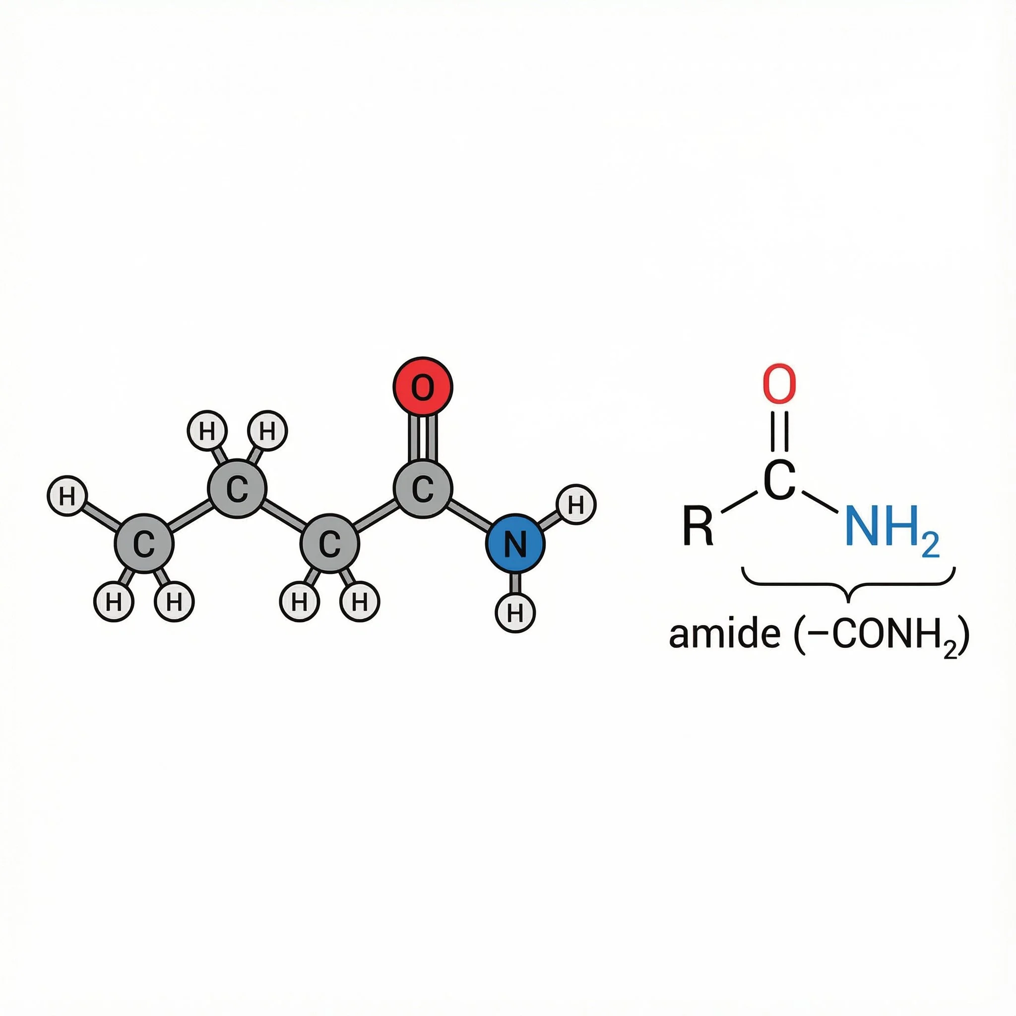 Chemical structure of amide -CONH2
