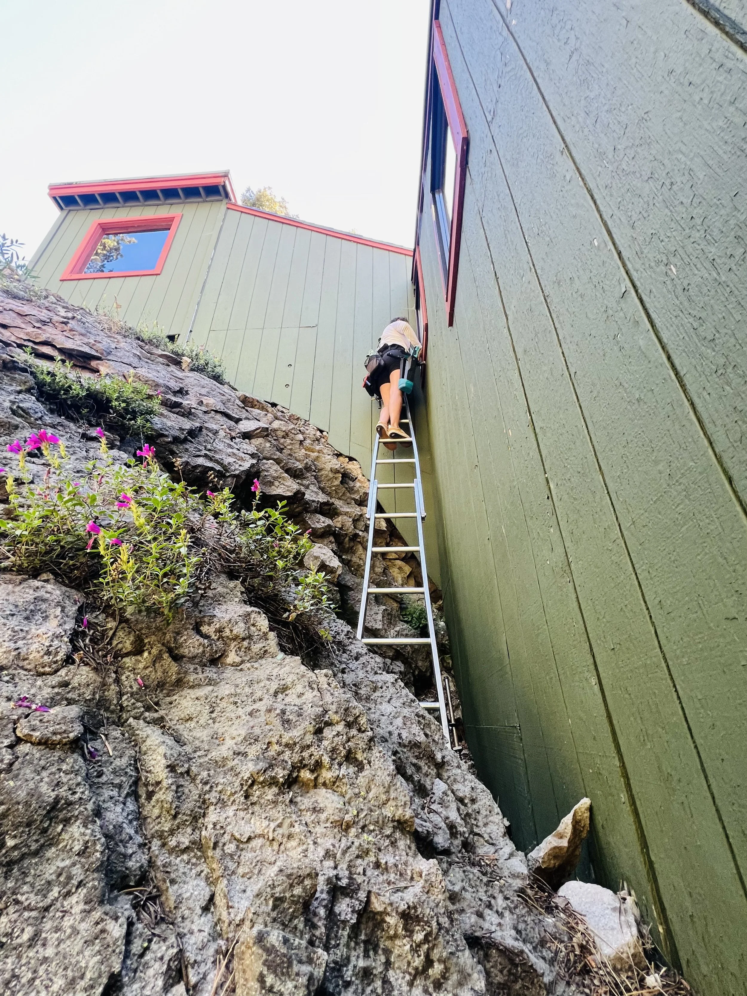 Person on ladder next to green building with red trim, near rocky slope with flowers.