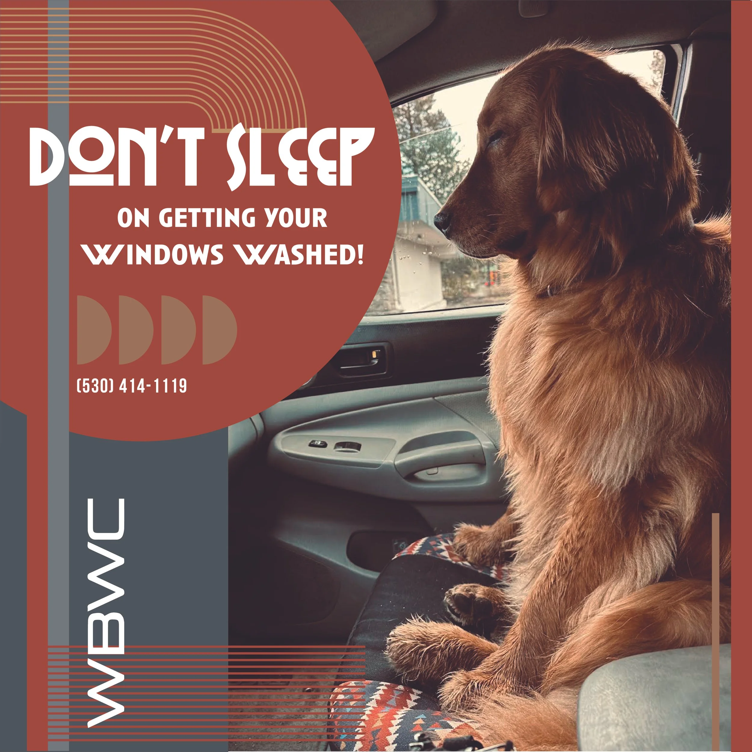Golden retriever sitting in a car with a graphic overlay that reads, "Don't sleep on getting your windows washed!" and includes a phone number.