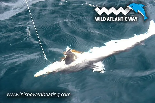 Inishowen Boating (8).jpg