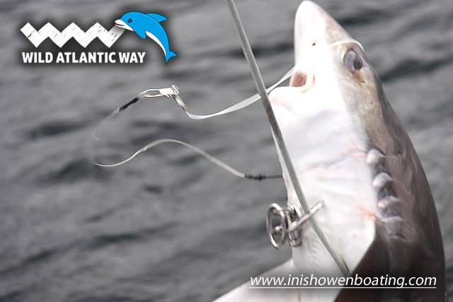 Inishowen Boating (11).jpg