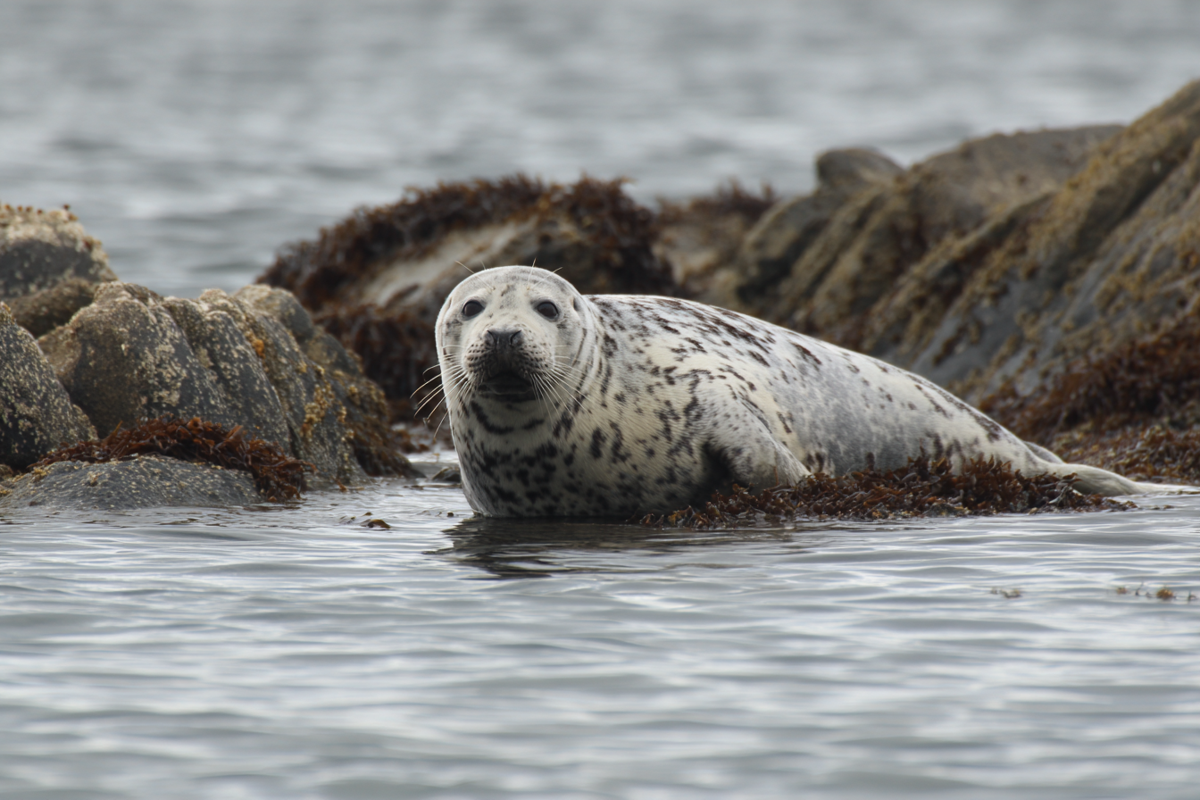 Inishowen Boating (13).png