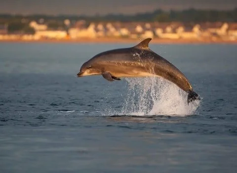 Inishowen Boating (15).jpg