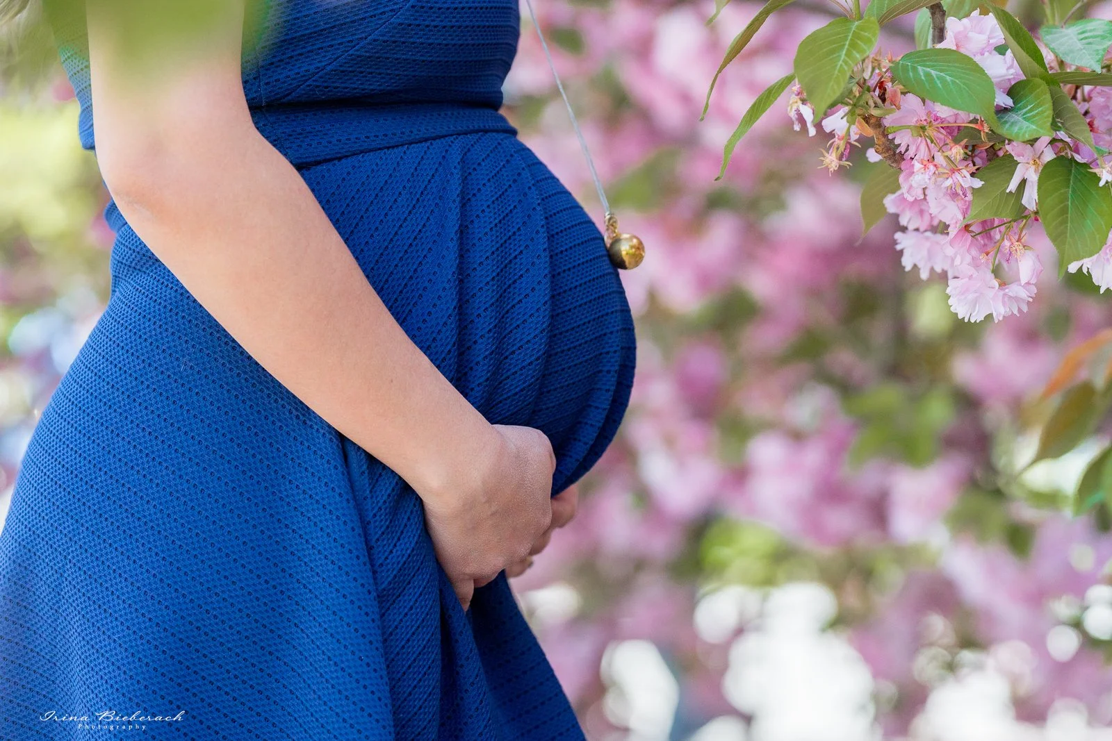 Ventre rond de femme enceinte devant des cerisiers japonais fleuris