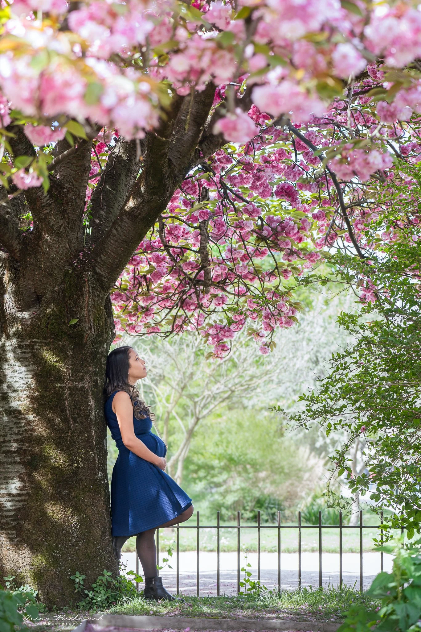 Femme enceinte se repose contre un cerisier japonais en fleur dans le Jardin de Plantes de Paris