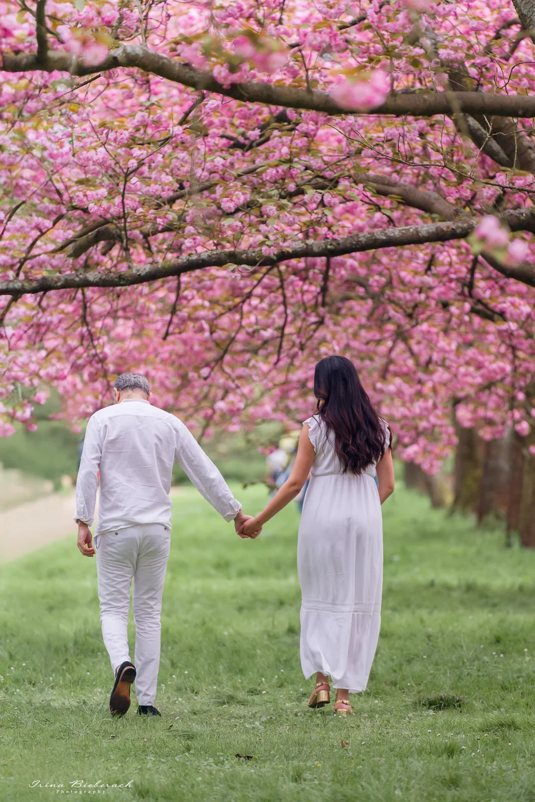 Couple habillé en blanc marche sous les cerisiers roses fleuris du Parc de Sceaux