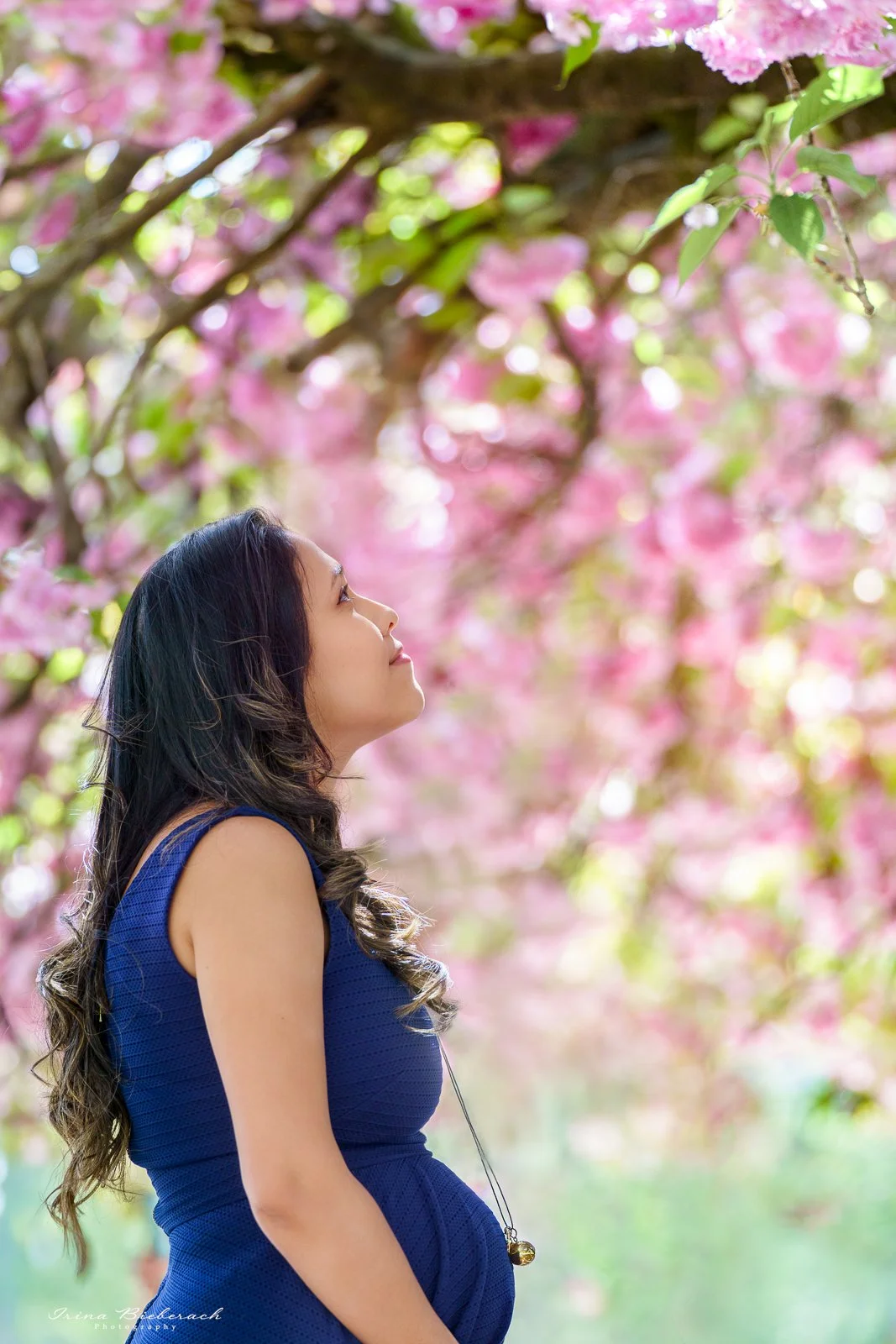 Jeune maman regarde les cerisiers sakua en fleur