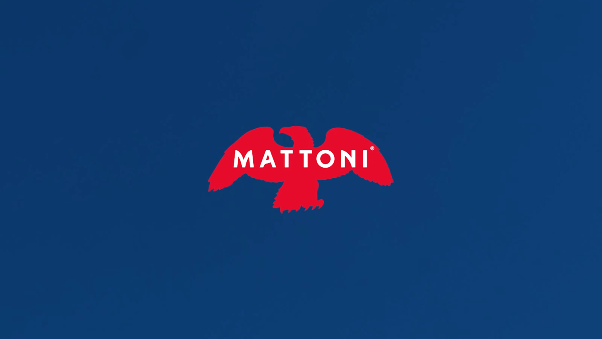 mattoni web miniatura.png