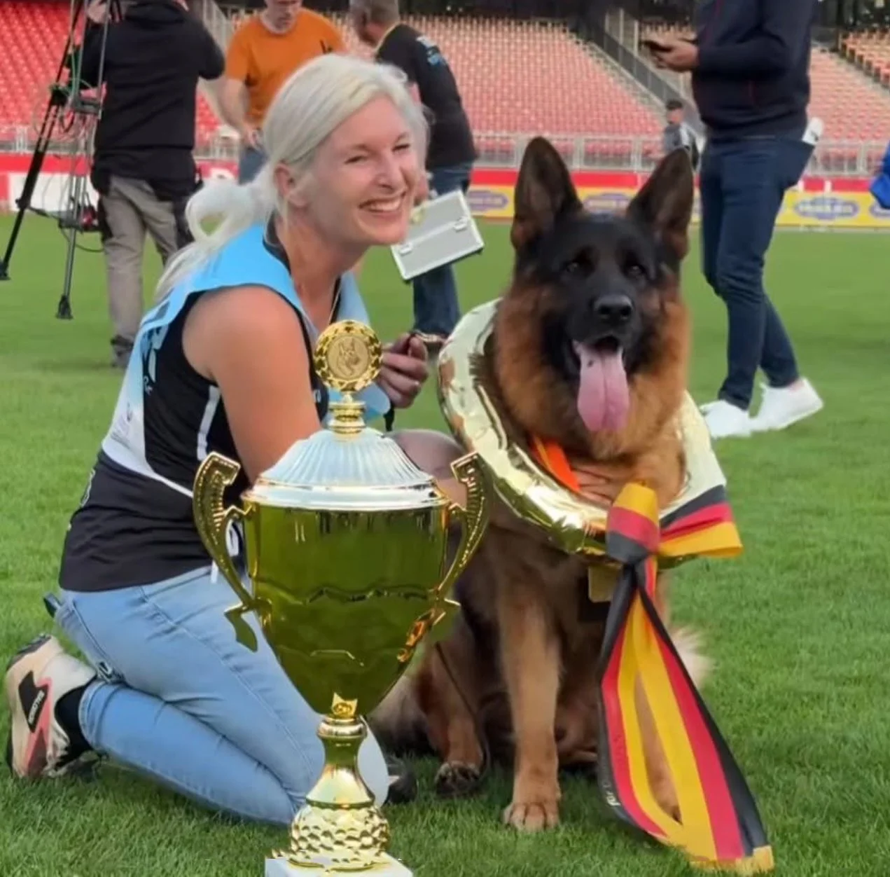 Photo of a male German Shepherd named Toronto Alta-Tollhaus, running in the show ring.