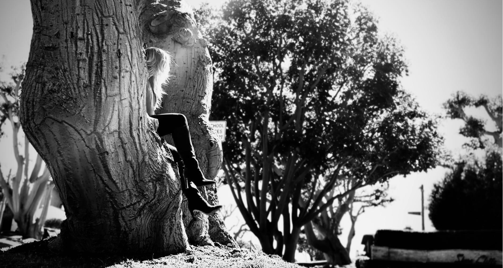 The Trees My Grandfather Planted: On Family, Service, and the Roots of This Work