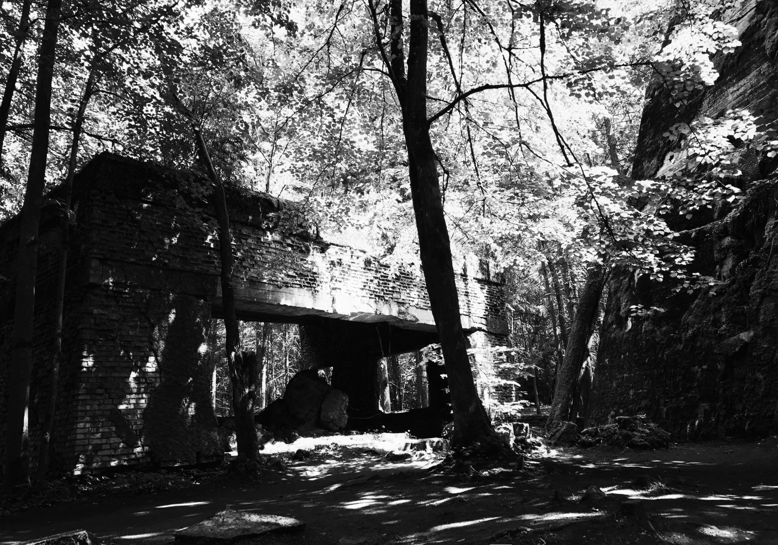 Wolfsschanze: The Wolf’s Lair