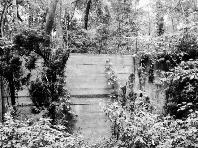 Dachau and the Wall