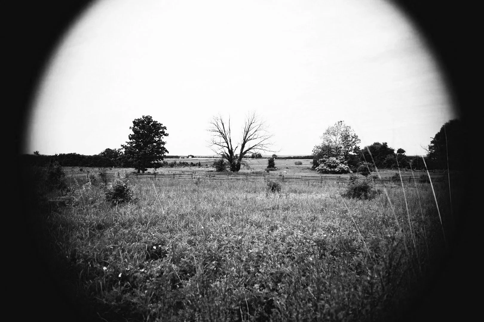 Gettysburg and the Blood of Both Sides