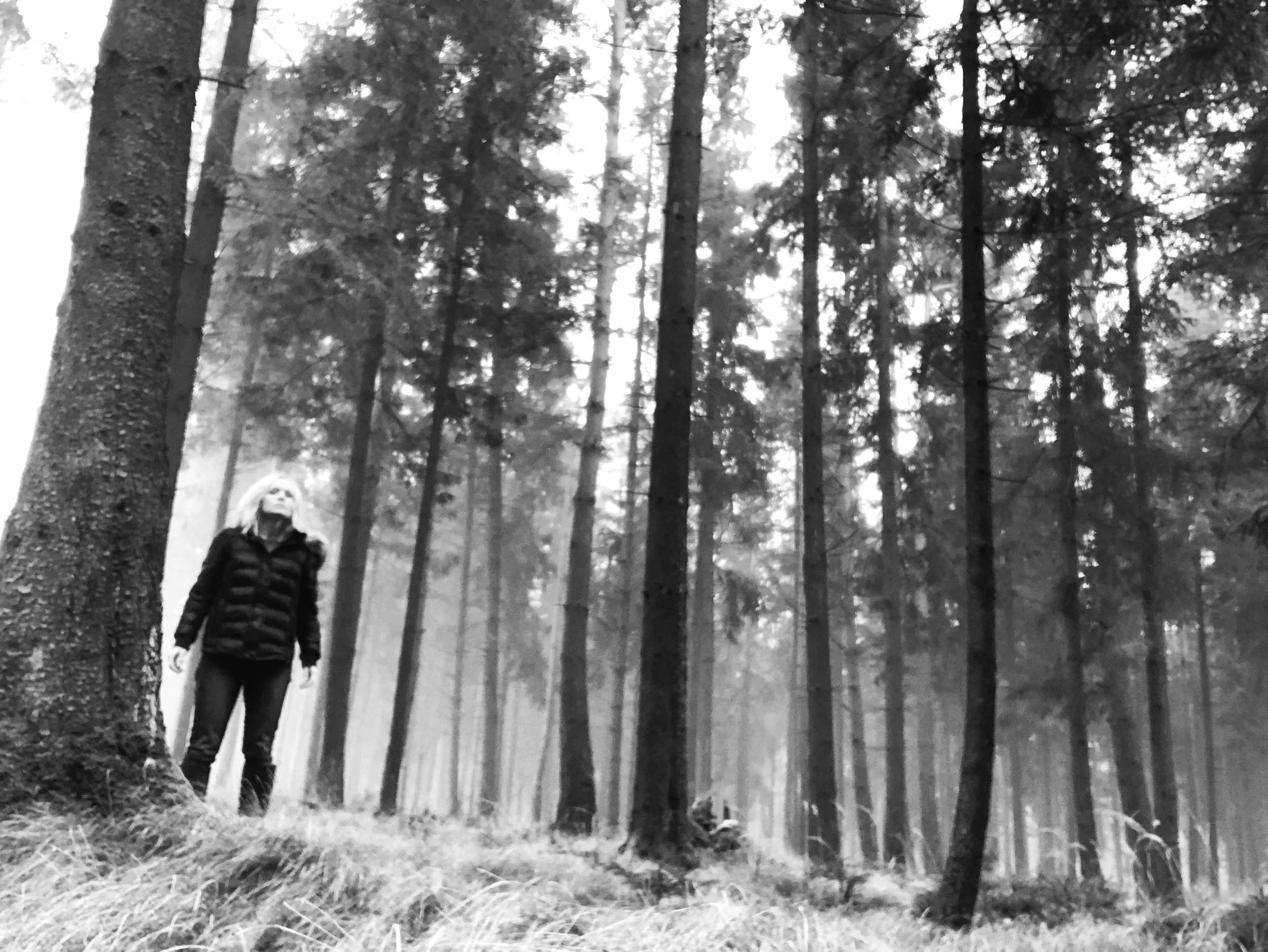 The Forest and Gunskirchen Concentration Camp