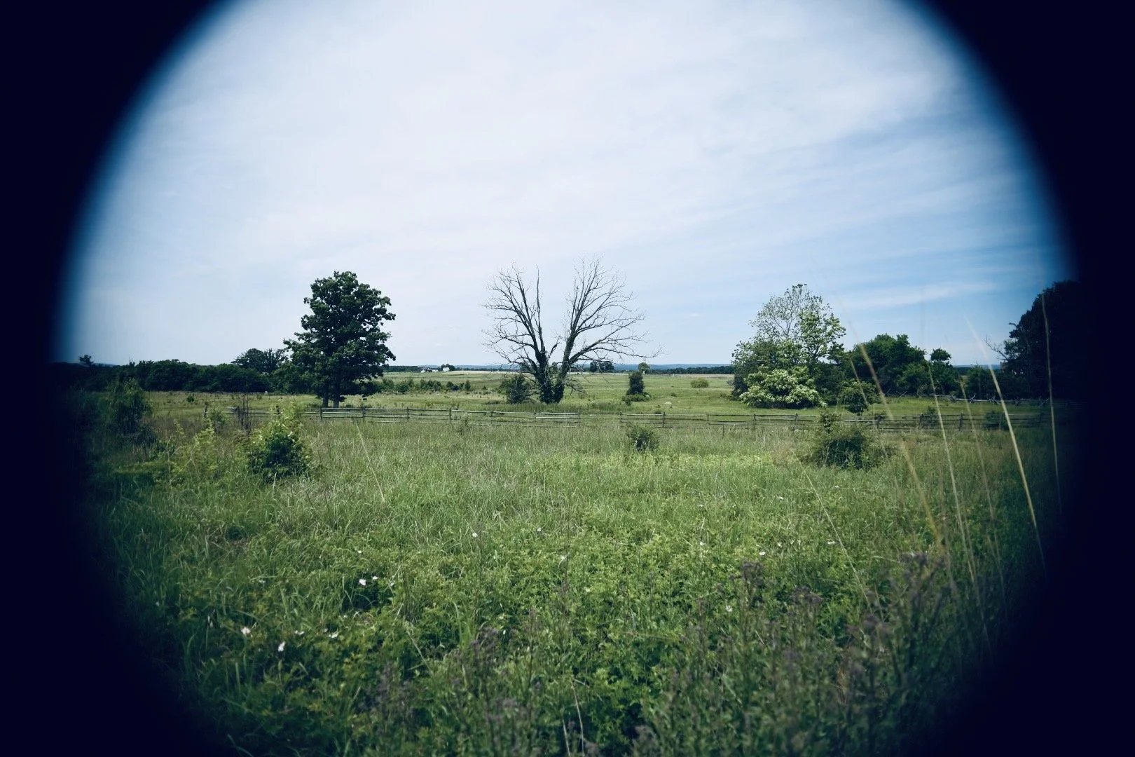 Gettysburg battlefield, Pennsylvania, July 2021, where historian Erin Faith Allen's ancestors fought on both sides of the Civil War.