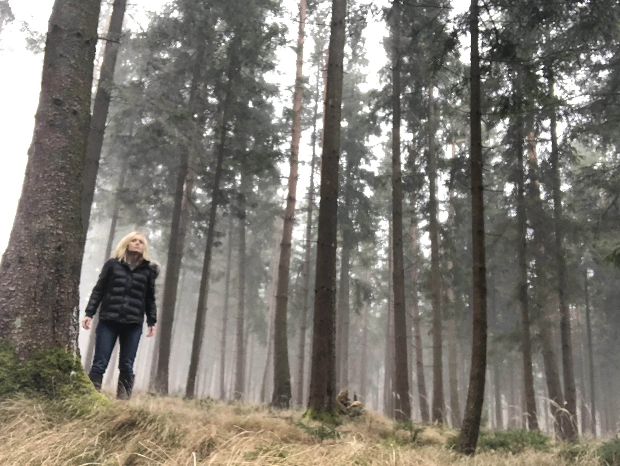 The forested site of Gunskirchen Lager concentration camp in Austria, photographed by WWII historian Erin Faith Allen