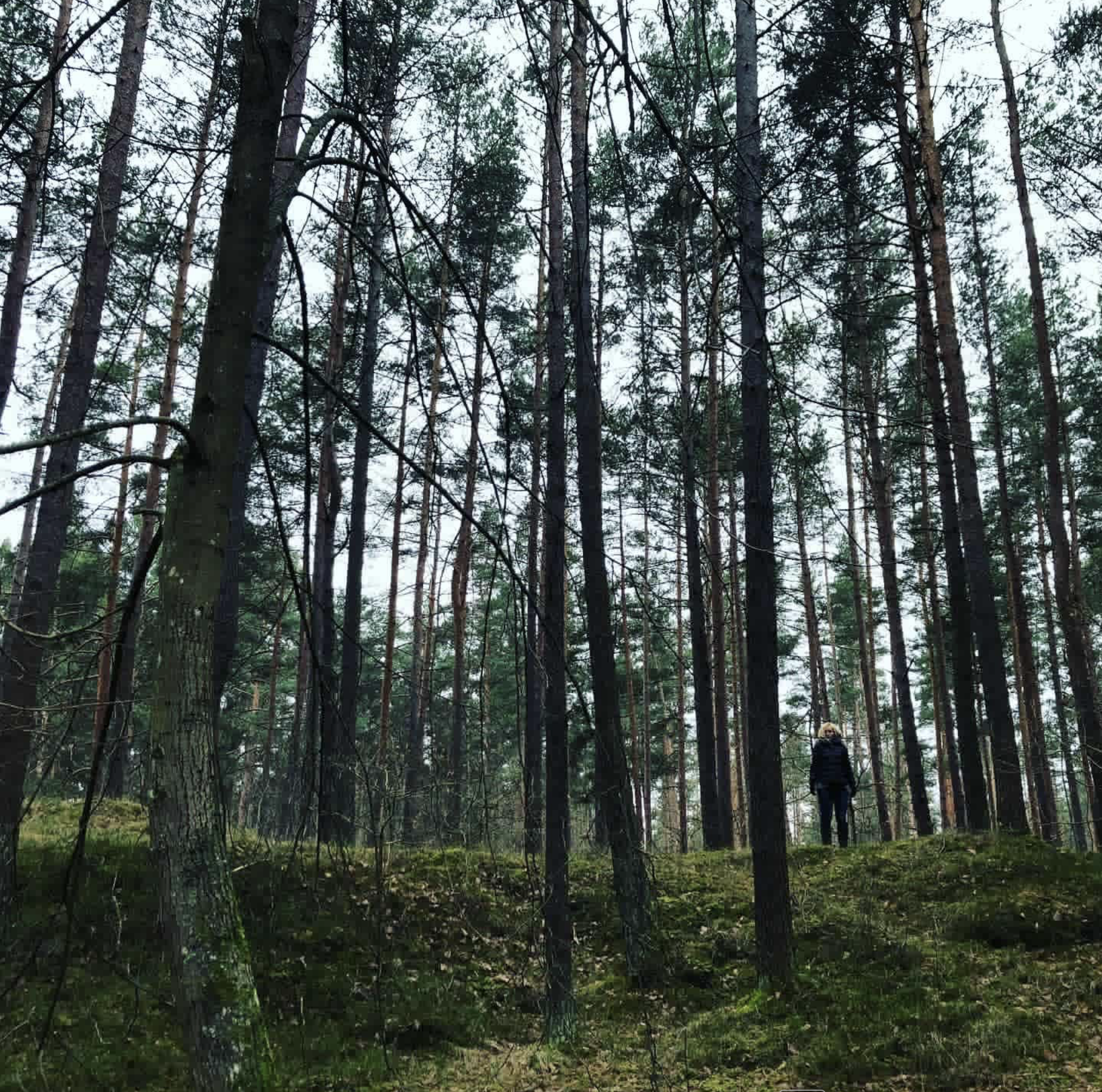 War historian Erin Faith Allen standing in the forest surrounding Riga Latvia near WWII massacre sites and execution pits, December 2017