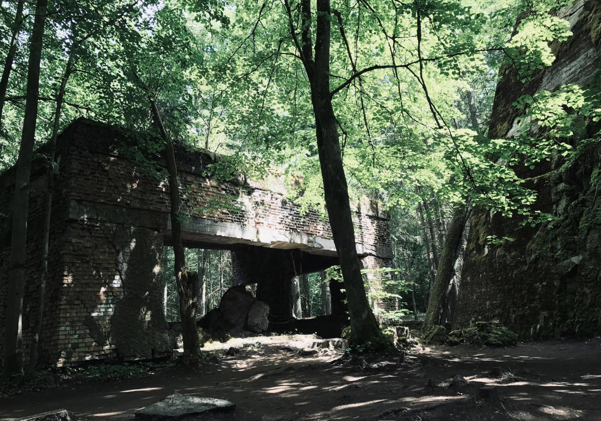 Ruins of the Wolfsschanze, Hitler's Wolf's Lair command center in northern Poland, site of Operation Valkyrie, photographed by Erin Faith Allen, Fortitude Research.