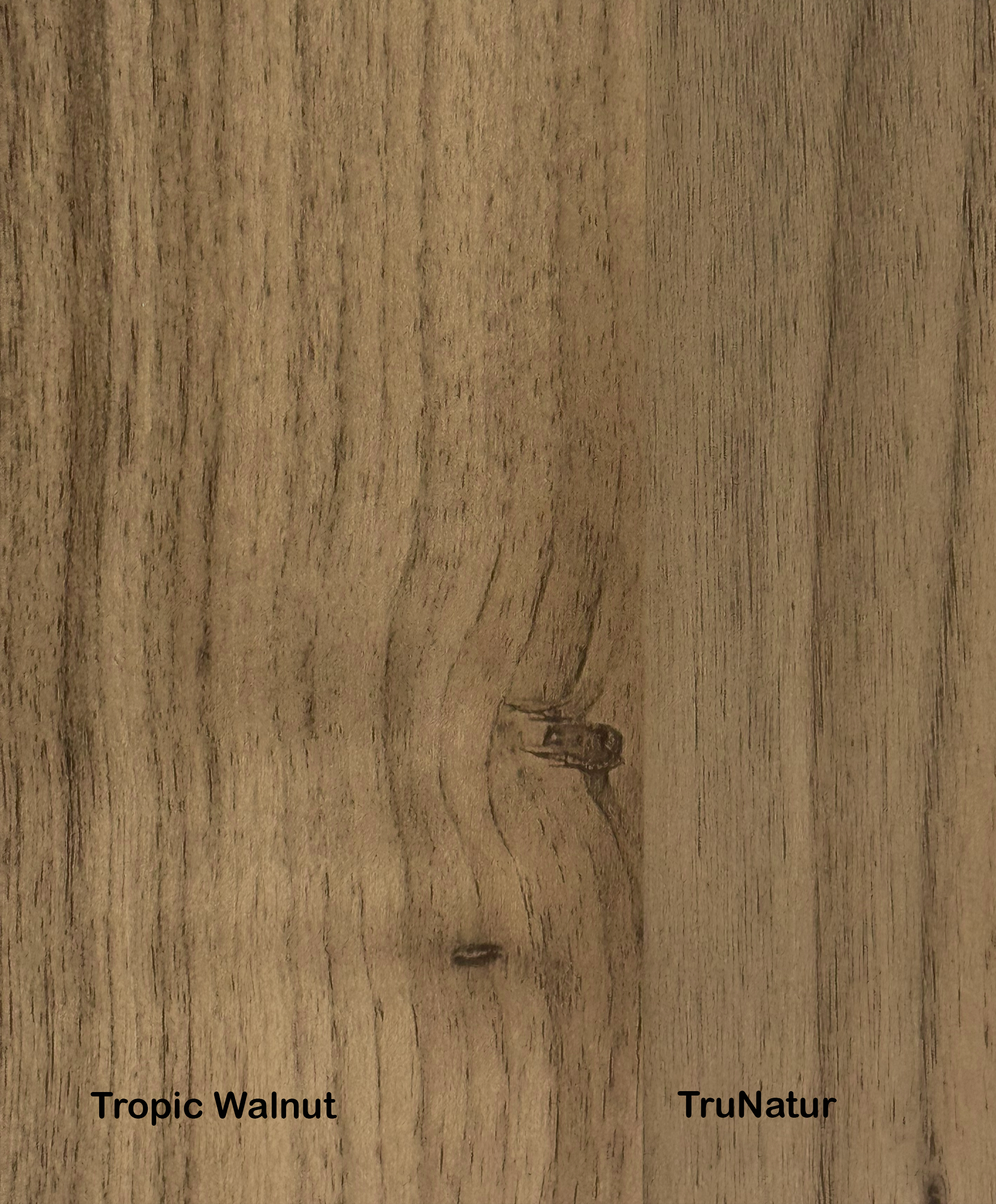 Tropic Walnut.png