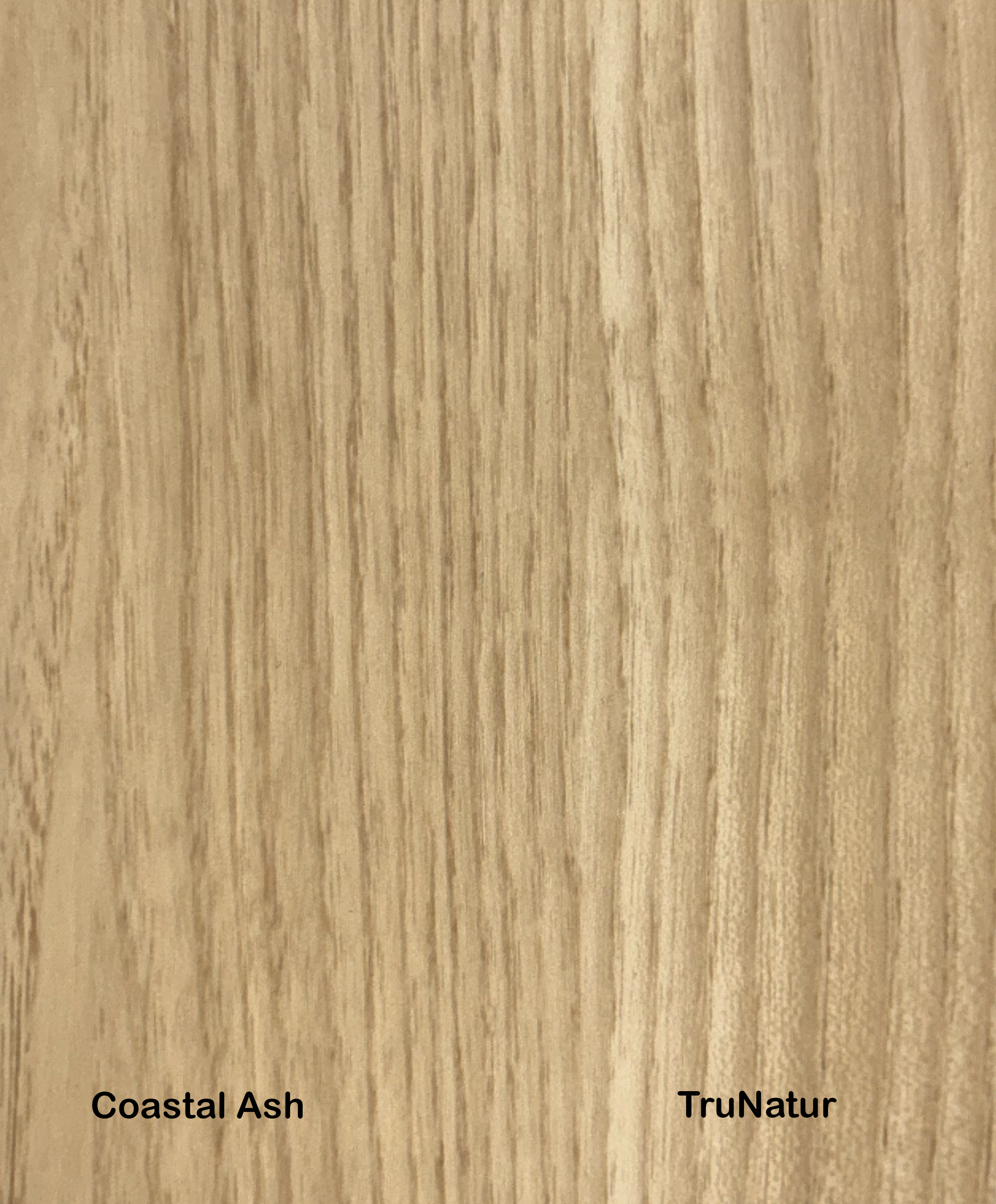 Coastal Ash.png