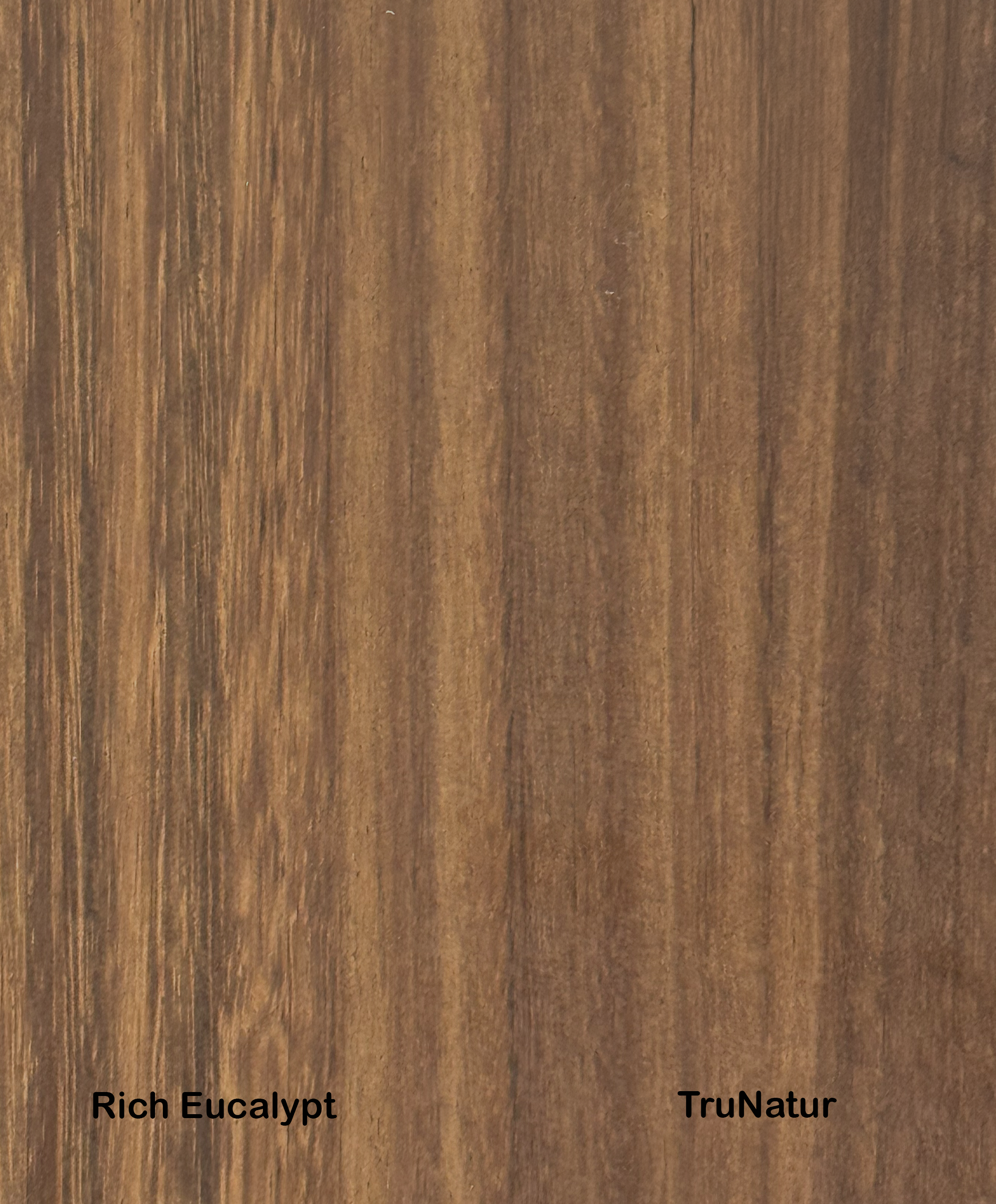 Rich Eucalypt.png