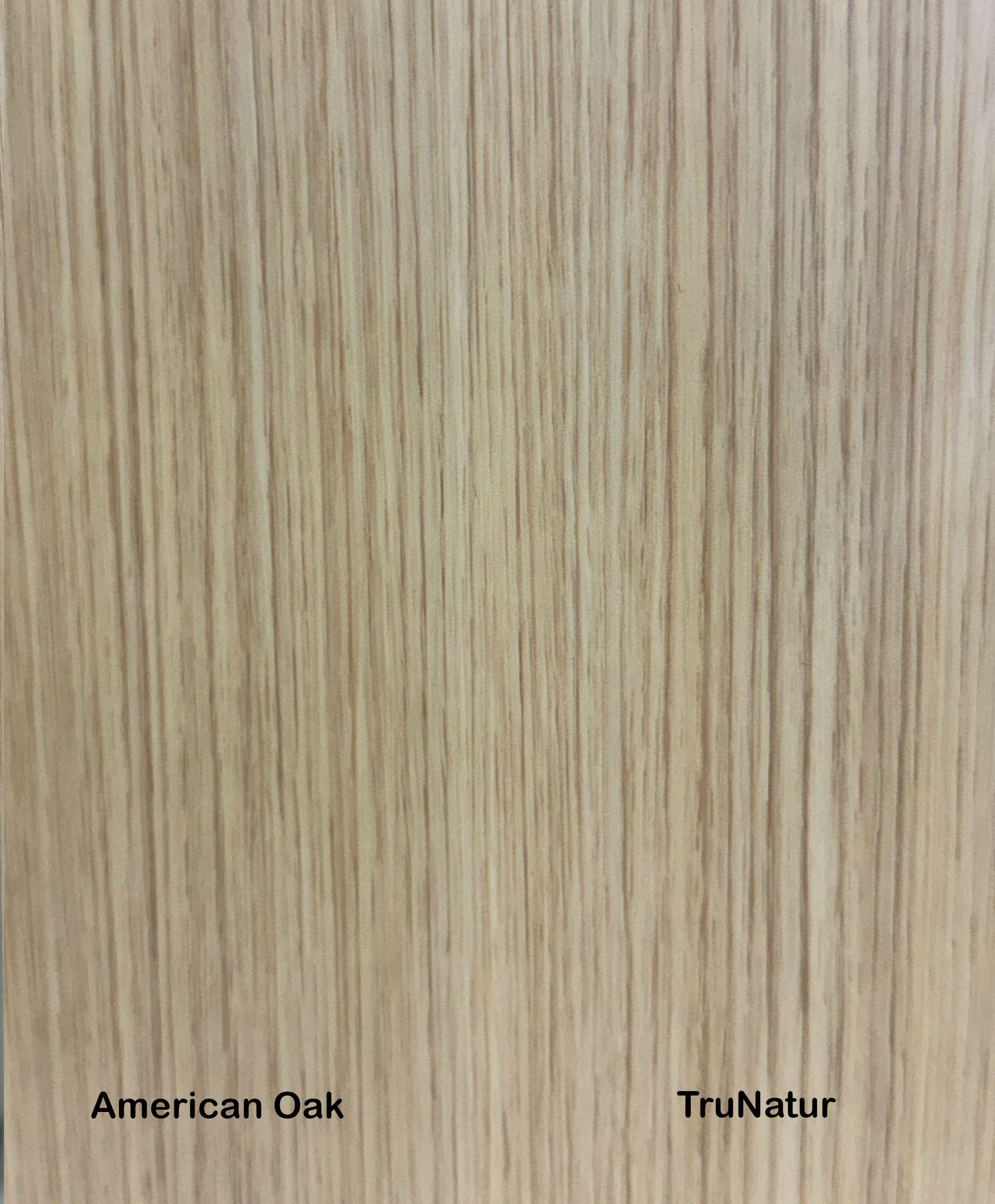 American Oak.png