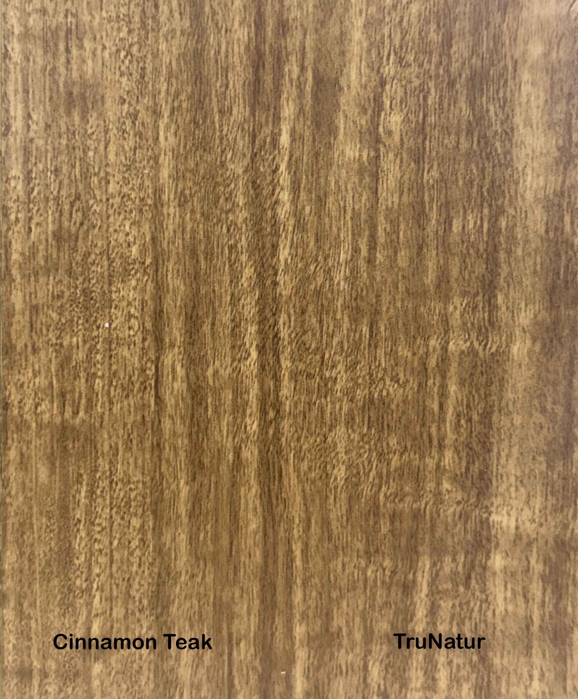 Spotted Gum.png