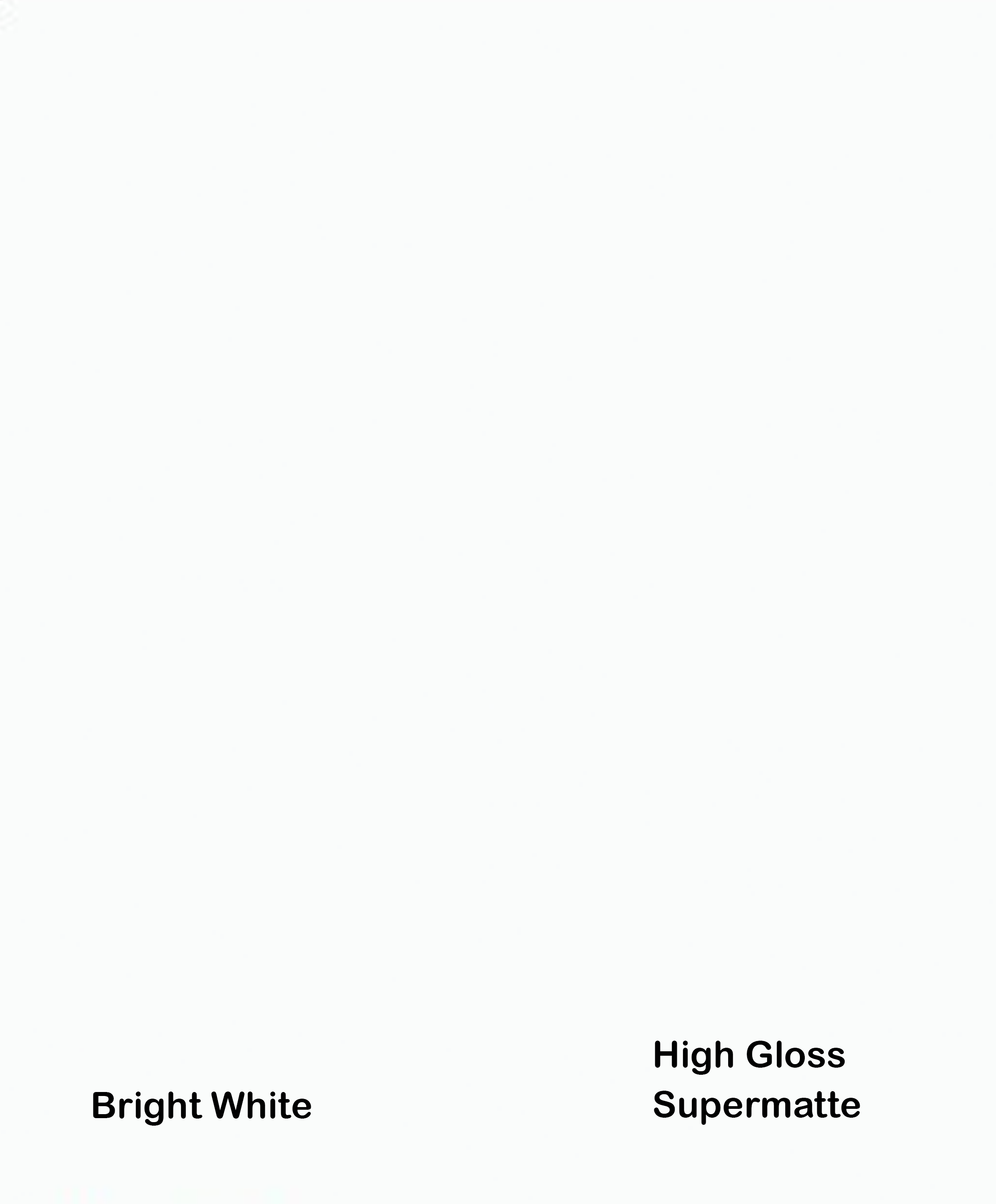 PetLite Bright White.png